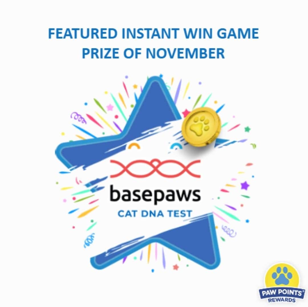 Fresh Stepさんのインスタグラム写真 - (Fresh StepInstagram)「Unlock your kitty’s DNA with @Basepaws! Play our November Instant Win game for a chance to win a Basepaws DNA CatKit! Not a member? Join Paw Points® to play. No purchase necessary. Ends 11/30/19. Visit freshstep.com for Official Rules. 🐈🔬」11月8日 3時18分 - freshstep