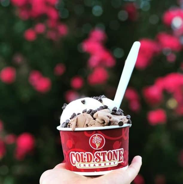 コールド・ストーン・クリーマリーのインスタグラム：「Lookin’ like a snack 😋🍦 📷: @littlesalt_littlepepper」