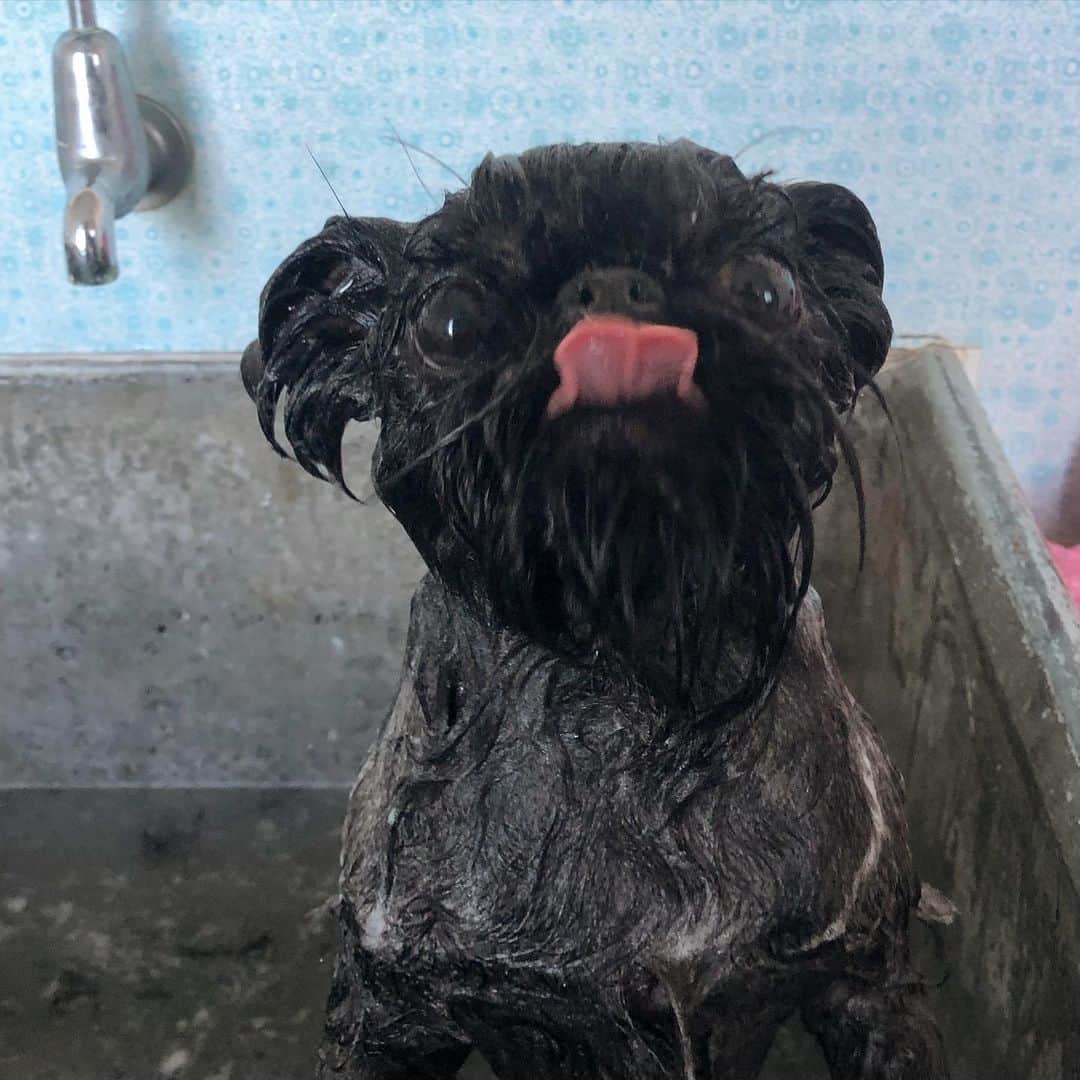 のインスタグラム：「The only acceptable response to bath time. 😛」