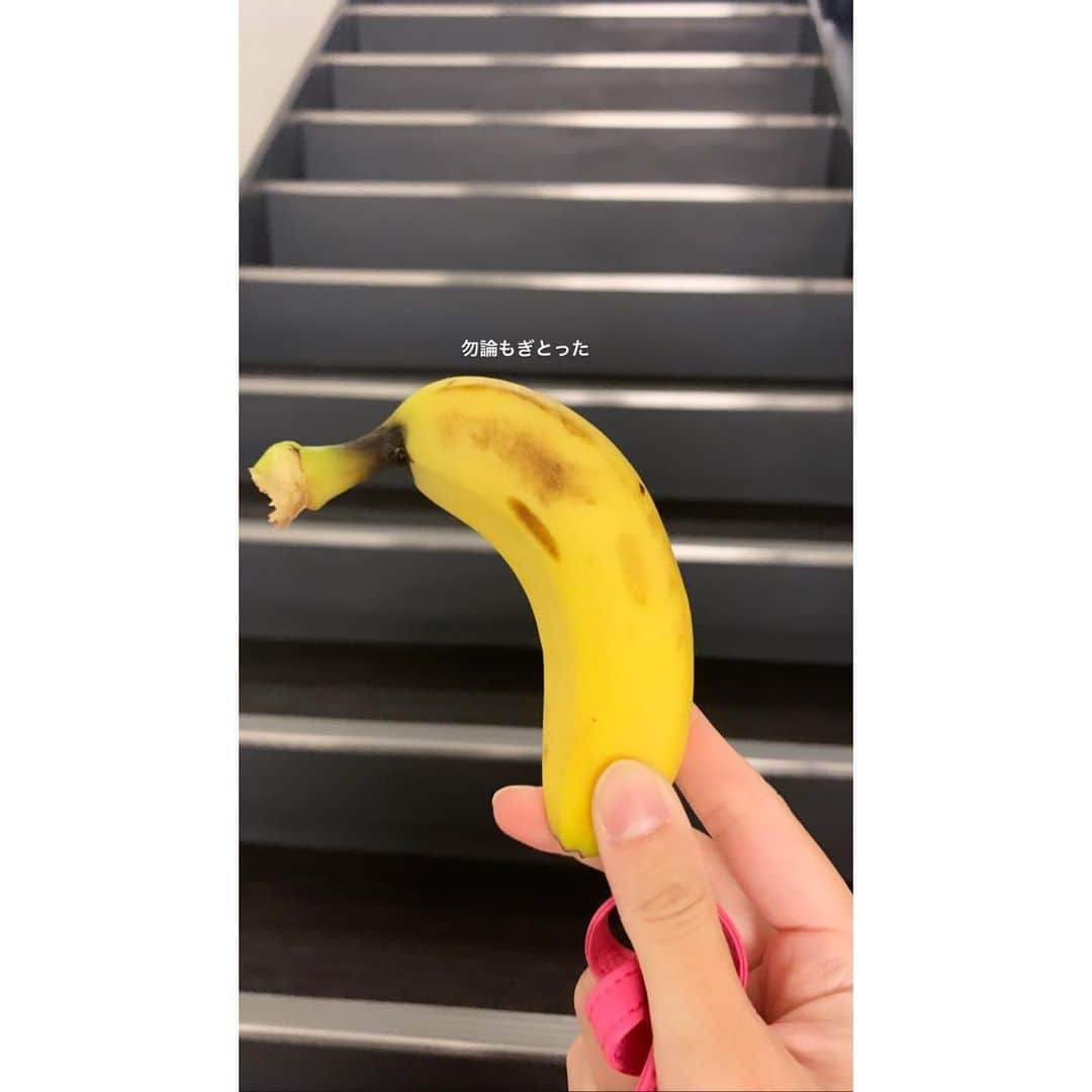 長谷川朋加さんのインスタグラム写真 - (長谷川朋加Instagram)「＊ 【 にこにこスマイルラン🏃‍♀️ 】 ＊ 寒いねぇ⛄️トテモサムイネェ 昨夜はさや姉さんとらんらんらーん！ 風強すぎて修行らんだった😎良きおもひで 突然のお誘いなのにフットワークが軽い スーパーママランナーさや姉🤩 ＊ 一人で走るときは 最近、駅伝のことばかり考えています🎽 ドキドキするワクワクする 何度もシミュレーションはするけど きっとそれを超える展開になるんだろうな 瞬きしたくない！ #東日本女子駅伝 ＊ 今日はテレポートプラスに #増田明美 さんが来てくださいます お会いするとパワーを貰える方です🤩 要チェックや！ ひこいち ＊ #今日のアイス #需要ないのに載せる ＊ #やりたい事は全部やる #全力前向き前のめり #走るの大好き ＊ #running #instarunner #runhappy  #runninggirl #ランニング #ジョギング  #マラソン #トレーニング #筋トレ女子  #体幹 #筋トレ #走る人 #減量 #ワークアウト #ランナー #アナウンサー #ラナウンサー #福島テレビ #福島  #ig東北ランナーズ #ダイエット #ダイエッター #アイスクリーム」11月8日 6時03分 - hasegawatomoka