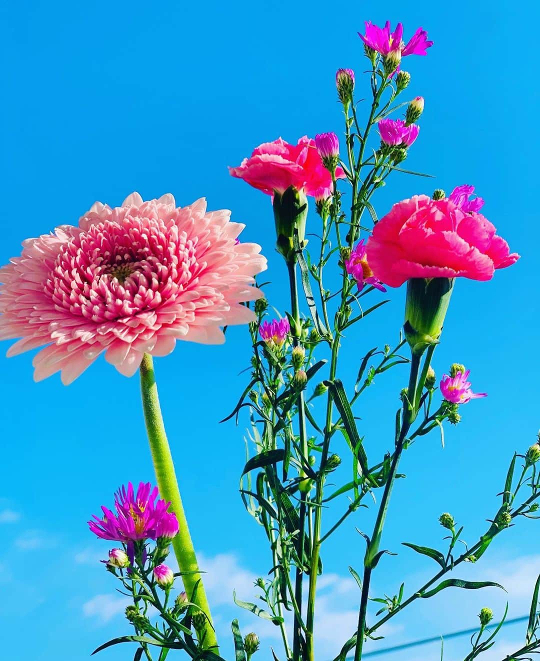 くまみきのインスタグラム：「パワーチャージ💐💗 みんなの好きなお花は何💗？」