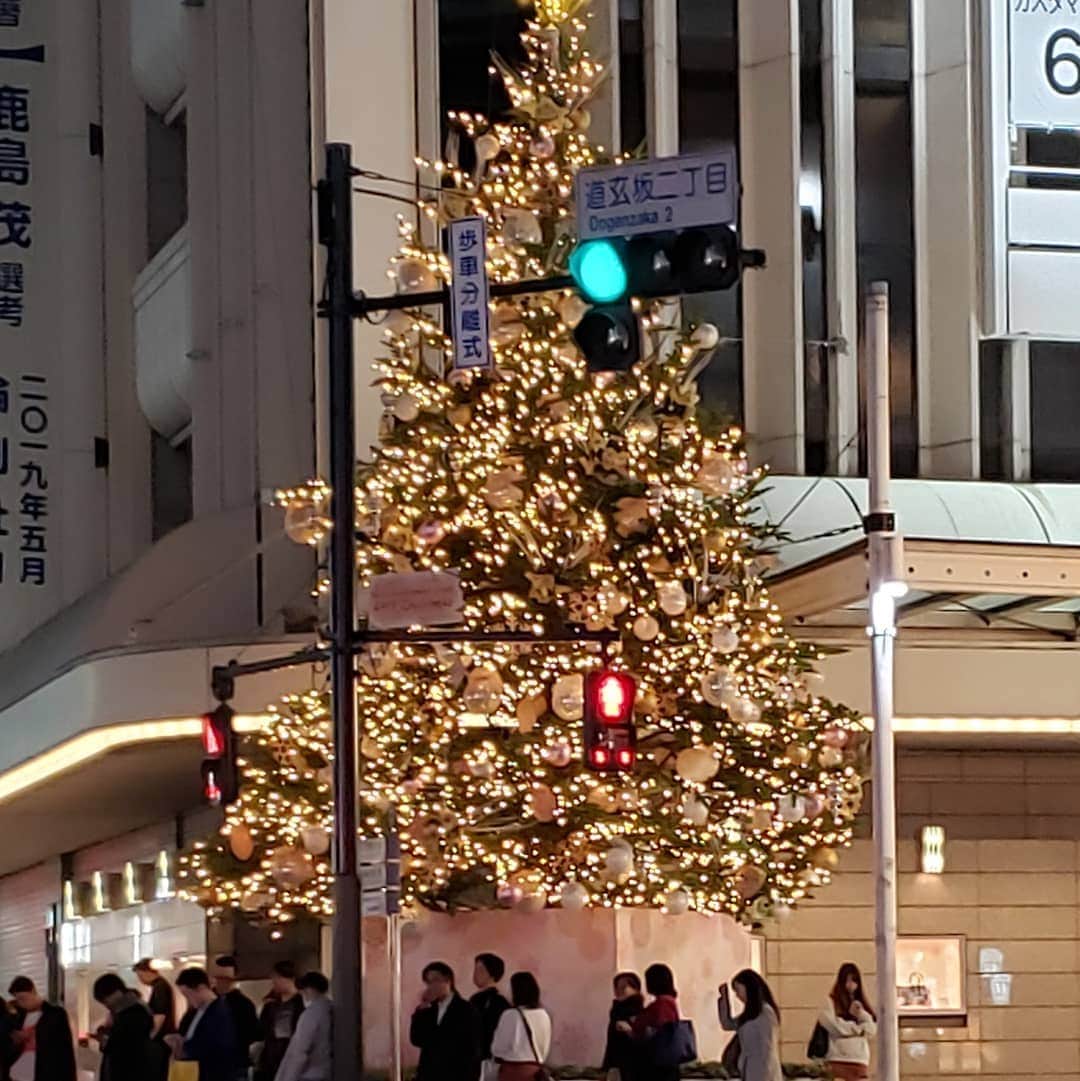 平井富子のグルメインスタ