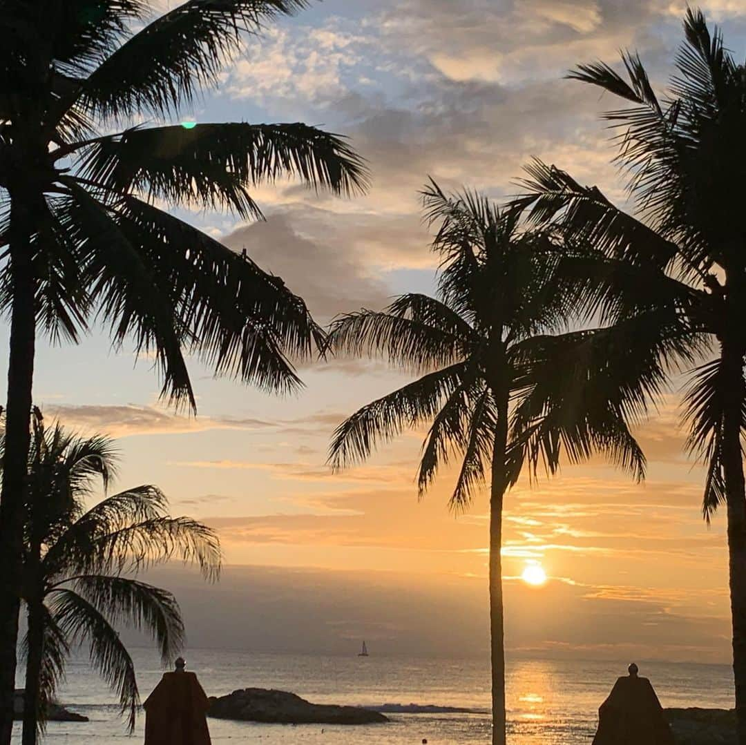 澤野井香里さんのインスタグラム写真 - (澤野井香里Instagram)「夕日の綺麗なレストラン#AMAAMA へ🌴﻿ ﻿ auntysbeachhouseのSURF'S UP!のイベントに1人で参加してきたSは『グーフィーと一緒に作ったのー＾＾』と自慢げにサーフボード🏄‍♂️を見せてくれて♪﻿ お昼寝なしで遊んでいたのでこの後は不機嫌Maxでごはんも食べずにすぐ寝てしまったけど、、、^^;﻿ ﻿ シーフードにお肉やパスタ🍝、夕暮れの景色を見ながらすごくステキなロケーション✨﻿ ﻿ 夜のライトアップされた建物も細部までのこだわりが感じれて良かった♪﻿ ﻿ #ks_trip✨ #ks_trip_hawaii✈️ #ks_trip_🇺🇸 #kaoris_family #kaoris_family_2019 #ks_19✨ #hawaii #aulanidisneyresort  #ディズニー #アウラニディズニー #ハワイグルメ #男の子ママ #女の子ママ #関西ママ #京都ママ #👶 #ママライフ #0才 #3才 #赤ちゃん #赤ちゃんとおでかけ #ハワイ #家族旅行 #ハワイ旅行 #子連れ海外 #子連れハワイ #S⭐️_ #M🍒_  #s⭐️m🍒」11月8日 7時41分 - kaori_sawanoi