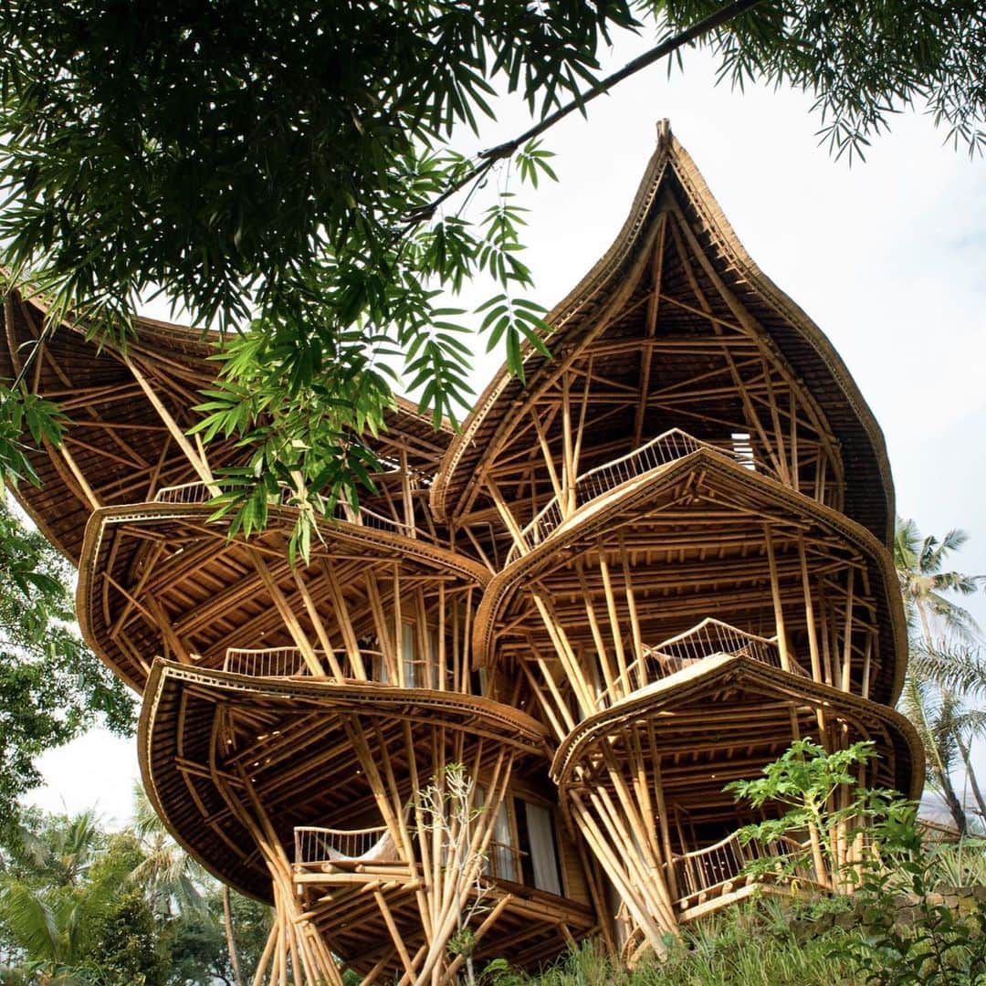 TED Talksのインスタグラム：「It’s 16-feet-long, it has the tensile strength of steel, and it regenerates in three years — so why aren't we building with it? We’re talking about bamboo, and it’s the main resource Elora Hardy and her team of architects use to create buildings like this magical six-story home in Bali (swipe left to see the living room!). Elora creates gorgeous, intricate structures that twist and turn deep in the rainforest, but there’s potential to work with this surprising and sustainable material all over the world. Watch Elora's TED Talk at the link in our bio to learn more.  Photo courtesy of Elora Hardy」