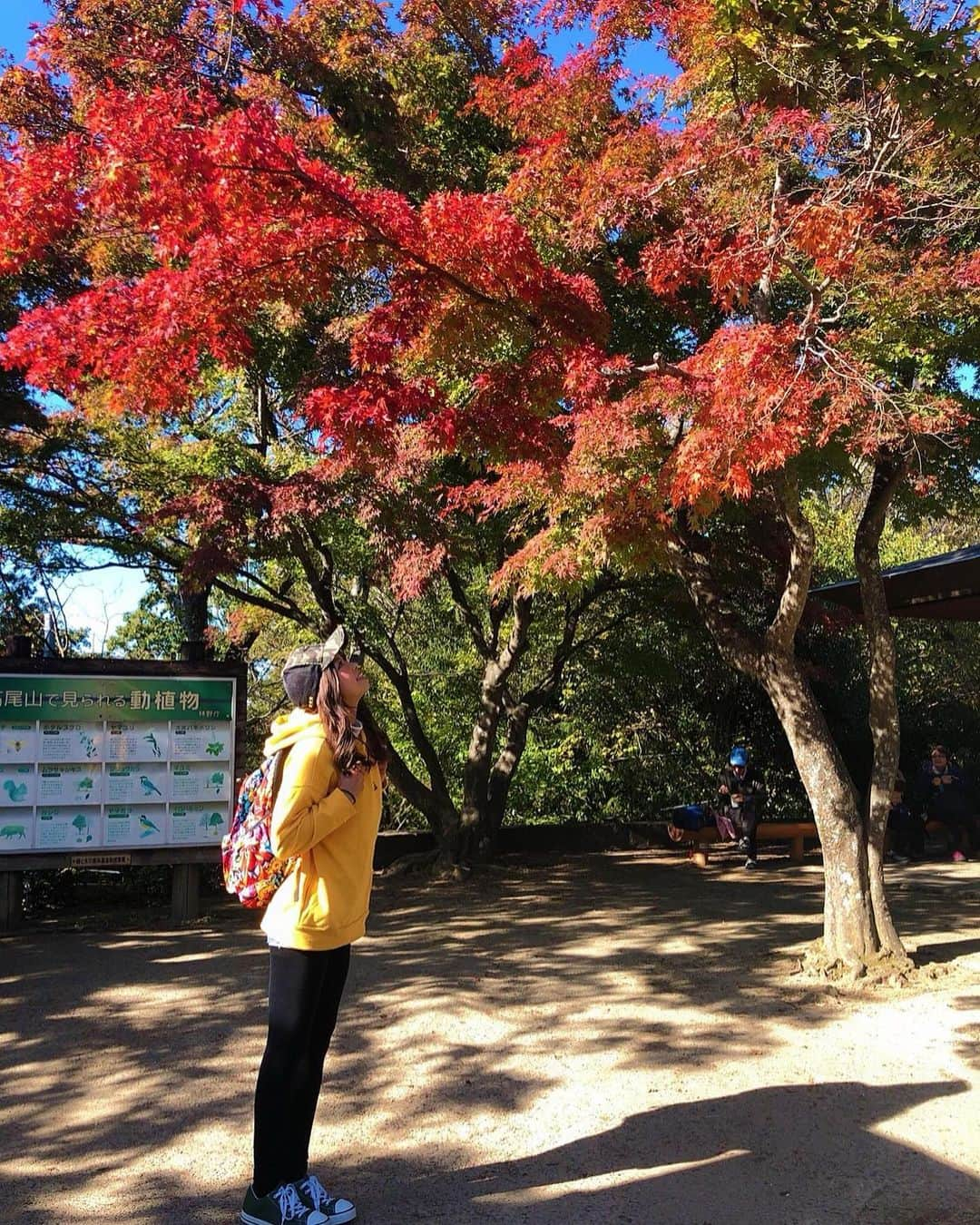 あおい夏海さんのインスタグラム写真 - (あおい夏海Instagram)「おはようございます🌼 🍒 誕生日の日は朝から高尾山に登ってきました！ 雲ひとつない秋晴れ✨🍁 またひとつ、晴れ女が証明されまさした✌️ . 大学時代からの友達にも、いつも11月6日は晴れてる気がする💕って言われたよ🥰 . 高尾山のエネルギーとパワーをもらってきました！！ . それにしてもお団子がめっちゃ美味しかった💕 そして仕事が引っ張りだこ🐙になるように、今待ち受けにしてるよ🥰 . 今年はいい1年になりそう🥰 楽しかったです🍒 #高尾山 #登山 #パワースポット #山 #山ガール #開運 #参拝 #浄化 #誕生日 11月6日 #ありがとう  #秋晴れ #秋 #パーカーコーデ #秋コーデ」11月8日 8時34分 - natsumi.aoi