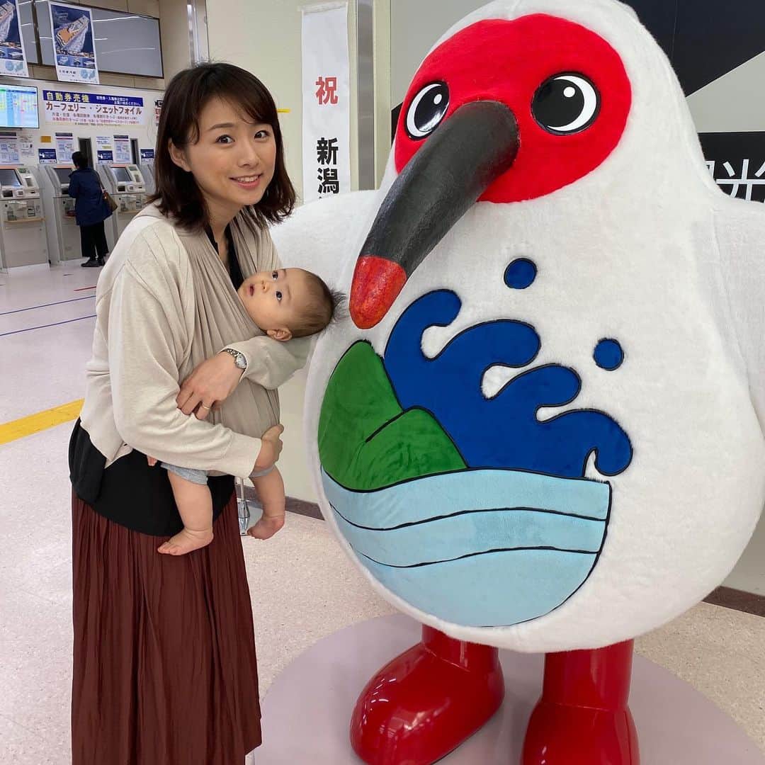 のインスタグラム：「またね佐渡😊﻿ ﻿ 大好きな佐渡乳業の﻿ 飲むヨーグルトを飲んで出航💕﻿ ﻿ 昨日はカーフェリーすっごい揺れて﻿ やばかったから今日は船酔いしませんように🤣﻿ ﻿ #佐渡﻿ #佐渡汽船」