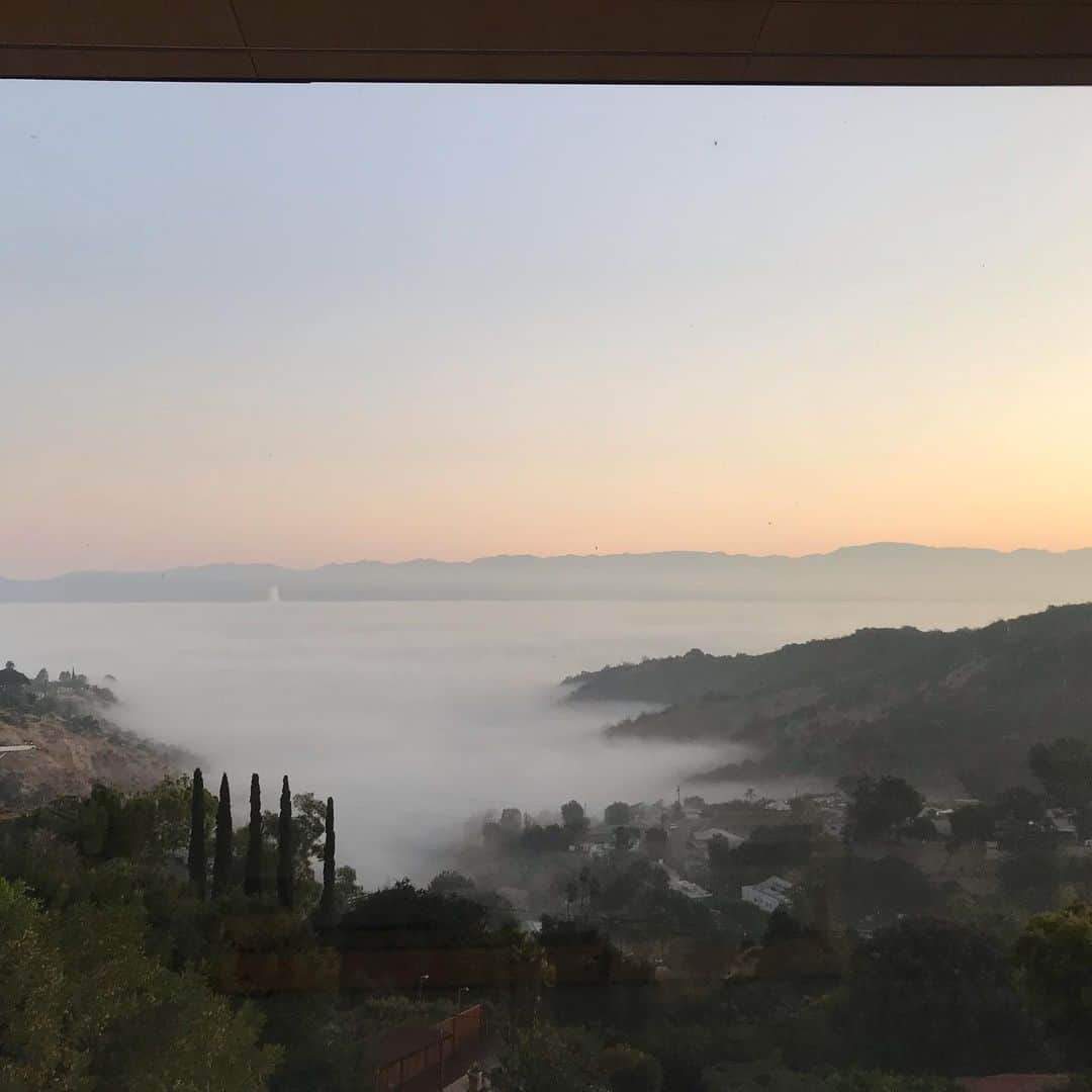 メアリー・マコーマックのインスタグラム：「This was the view outside our bedroom this morning.  The fog over the valley looks like water.」