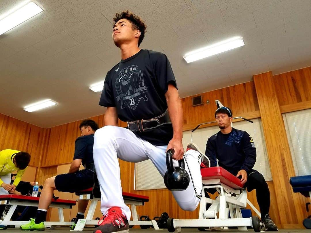 オリックス・バファローズさんのインスタグラム写真 - (オリックス・バファローズInstagram)「#佐野皓大 #西村凌 #根本薫 #早出ウエイトトレーニング #下半身デー #秋季キャンプ #高知 #Bs2019 #buffaloes #baseball #ORIX #プロ野球」11月8日 10時30分 - orix_buffaloes