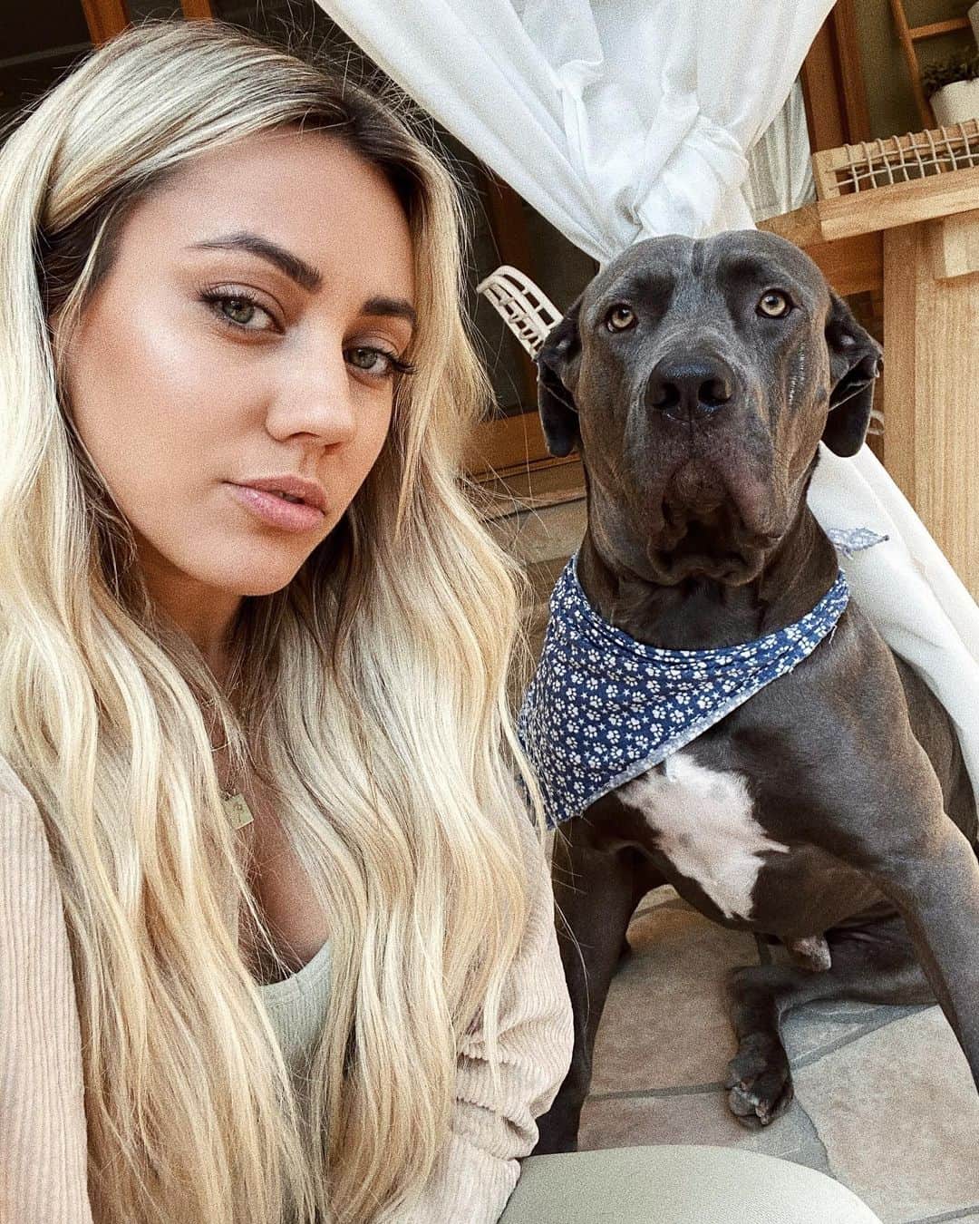 Camden Scottのインスタグラム：「Caught him seconds before he ran to chase a squirrel」