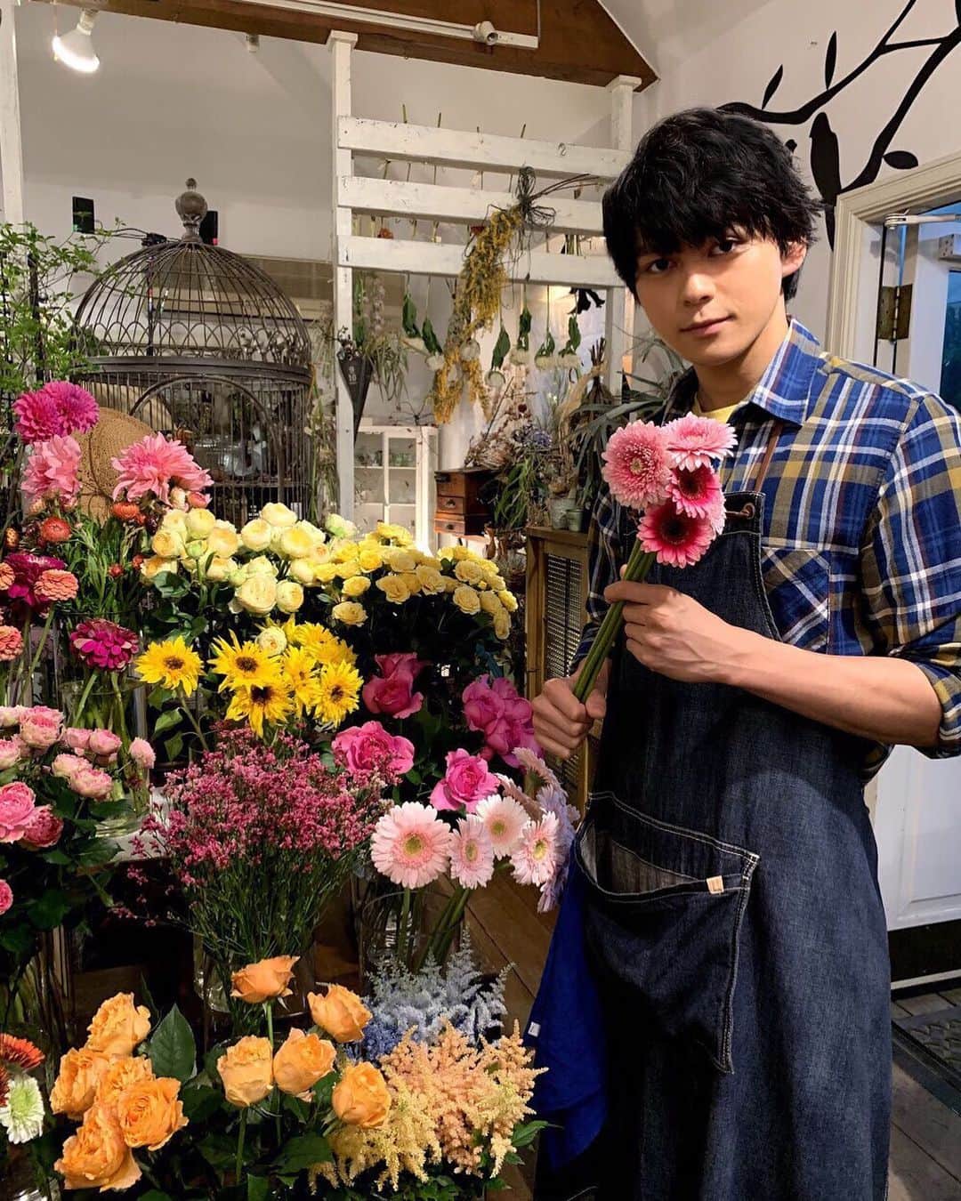 映画『午前0時、キスしに来てよ』のインスタグラム：「＼0キスWEEKEND FLOWER×WEEKEND  GORDON💐／ ﻿ ﻿ お家がお花屋さんのあーちゃんから週末おすすめのお花をご紹介❣️﻿ ﻿ 今週は『ガーベラ』🤗 ﻿ ﻿ ゴードンさん注目👀の花言葉は「希望」「常に前進」 とポジティブ✨﻿ ﻿ 手に持っているシックなワインカラーは「レンブラント」、ピンクのポンポン咲きは「トレイシー」 ﻿ ﻿ 一年中お店に並ぶガーベラですが、実は春と秋が旬⭐️﻿ ﻿  お花のバリエーションも豊富なのでぜひお花屋さんにチェックしに来てよ😚🙌🏻﻿ ﻿ #ガーベラ #weekendflower #WEEKENDGORDON #flower #花と素敵な週末を ﻿ #お花屋さん #あーちゃん #眞栄田郷敦﻿ #あーちゃん家の花屋の名前はルーシーグレイ ﻿ #ルーシーグレイ﻿ #午前0時キスしに来てよ #12月6日公開﻿ #0キス #映画0キス #0kiss  #ゼロキス」