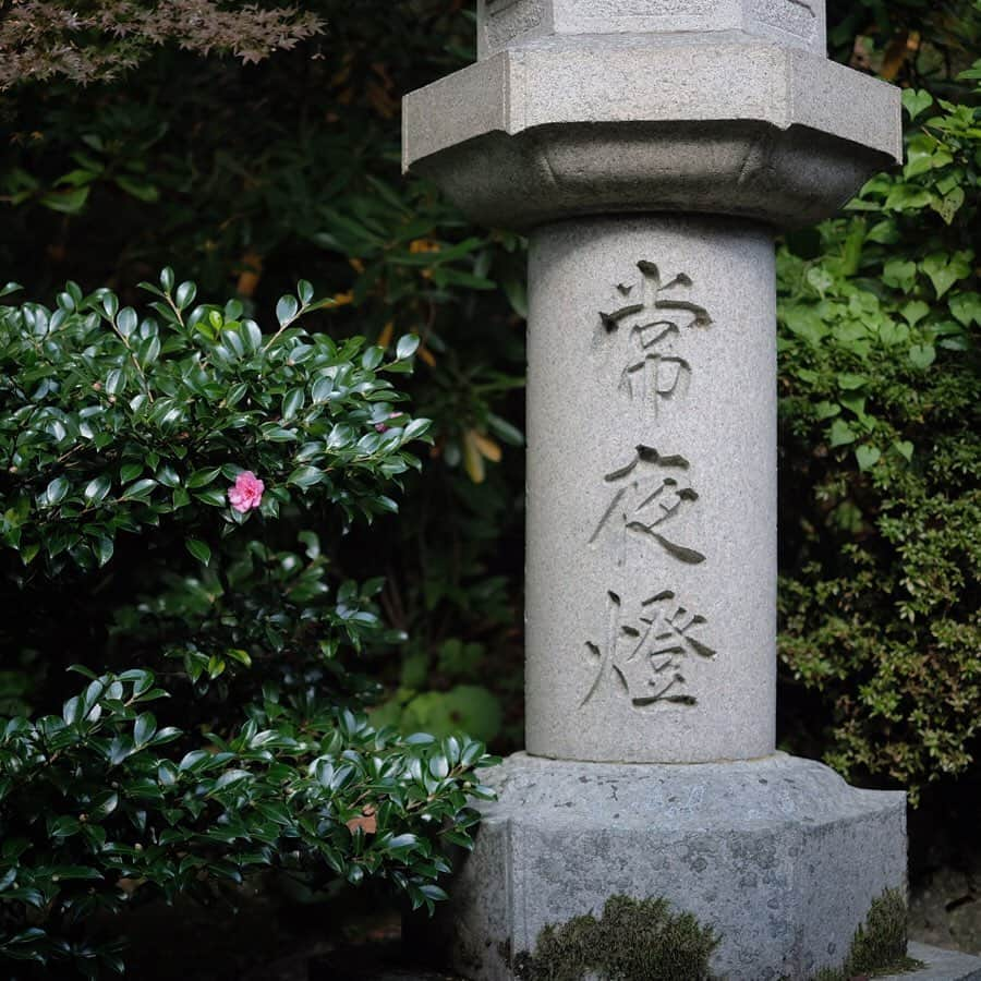 奈良 長谷寺 / nara hasederaのインスタグラム