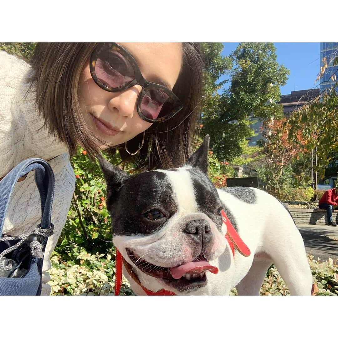 中田奈沙さんのインスタグラム写真 - (中田奈沙Instagram)「Perfect day for taking a walk🐾 11月なのに日中ポカポカな日が多く、 気持ちいい☺️❤️ * * #frenchbulldog #frenchie #buhi #dog #me #instadog #dogstagram #walk #family #pet #cutie #sweetie #sunny #takeawalk #park #フレンチブルドッグ #フレブル #ブヒ #散歩 #家族 #愛犬 #ペット #犬バカ部 #犬バカ #公園 #親バカ #中田奈沙 #快晴 #犬 #ブサカワ」11月8日 22時40分 - nasa_nakada