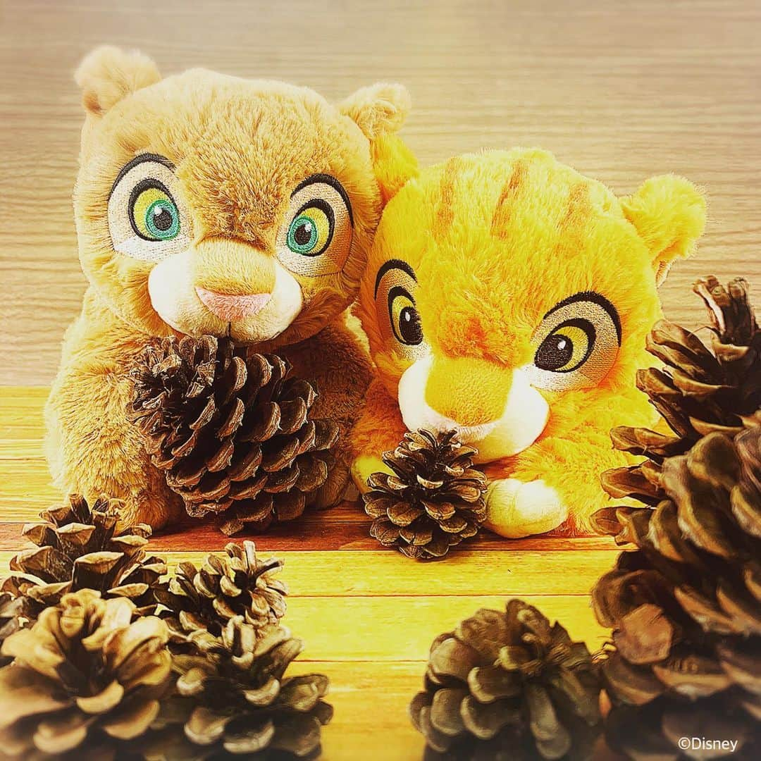 KIDDY LAND officialさんのインスタグラム写真 - (KIDDY LAND officialInstagram)「「ナラ」も明日発売🦁👑 #kiddyland #キデイランド #disney #ディズニー #lionking  #thelionking  #ライオンキング  #ぬいぐるみ #ナラ」11月8日 22時46分 - kiddyland_co.jp