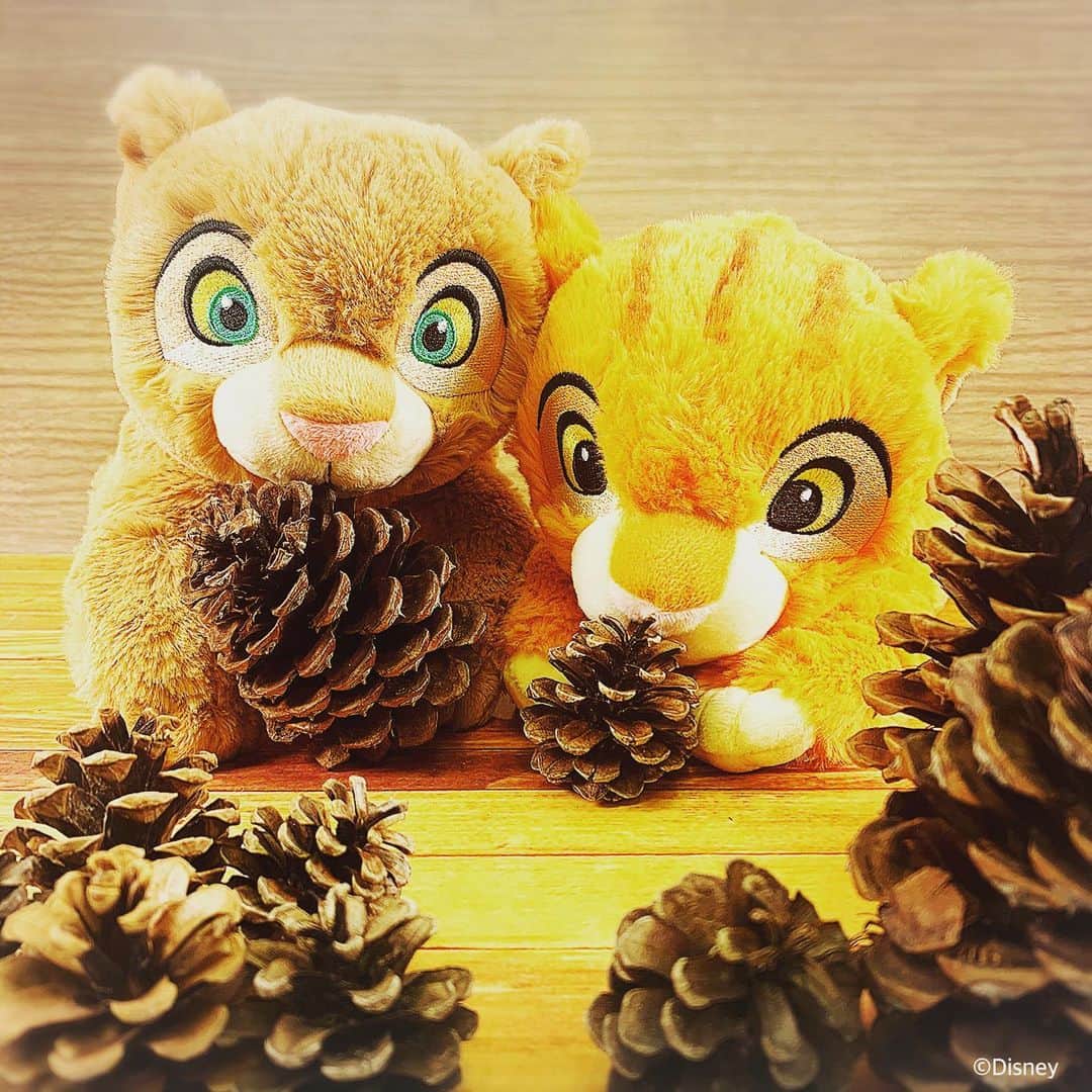 KIDDY LAND officialのインスタグラム