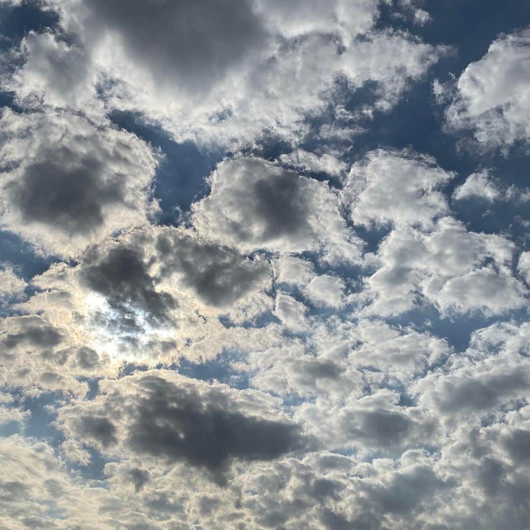 のインスタグラム：「2019/11/08 Tokyo」