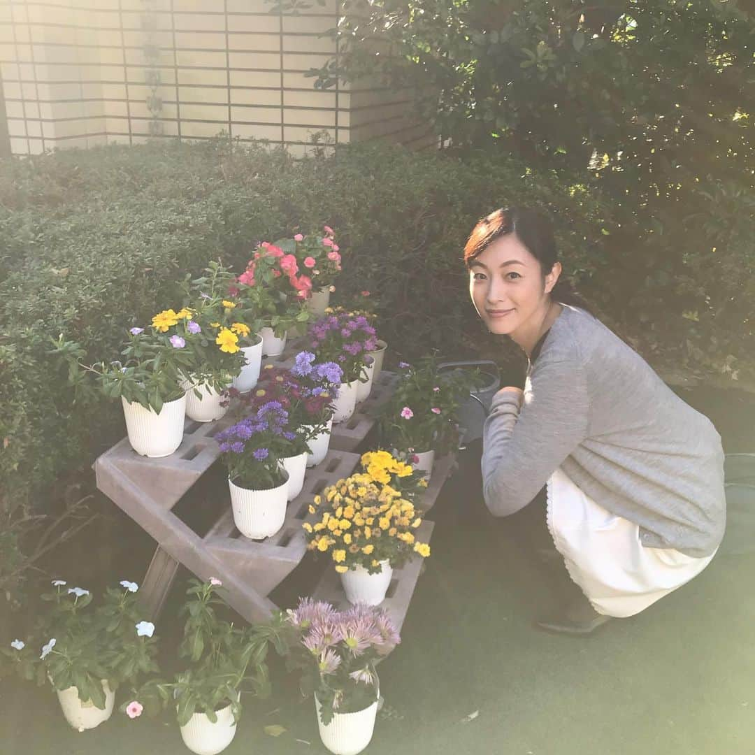 青山倫子さんのインスタグラム写真 - (青山倫子Instagram)「ロケ日和。 優しくて暖かくて心地いい。 幻想的でとっても綺麗な朝の光だったな。 朝日を浴びると元気が出るね。  #青山倫子 #ロケ日和 #朝日 #光が綺麗 #ほわっと優しい光だ #朝日は元気をくれる #ありがたいね #腰がポッコリしてる #マイクでポッコリなっちゃった」11月8日 16時19分 - noriko_aoyama1229