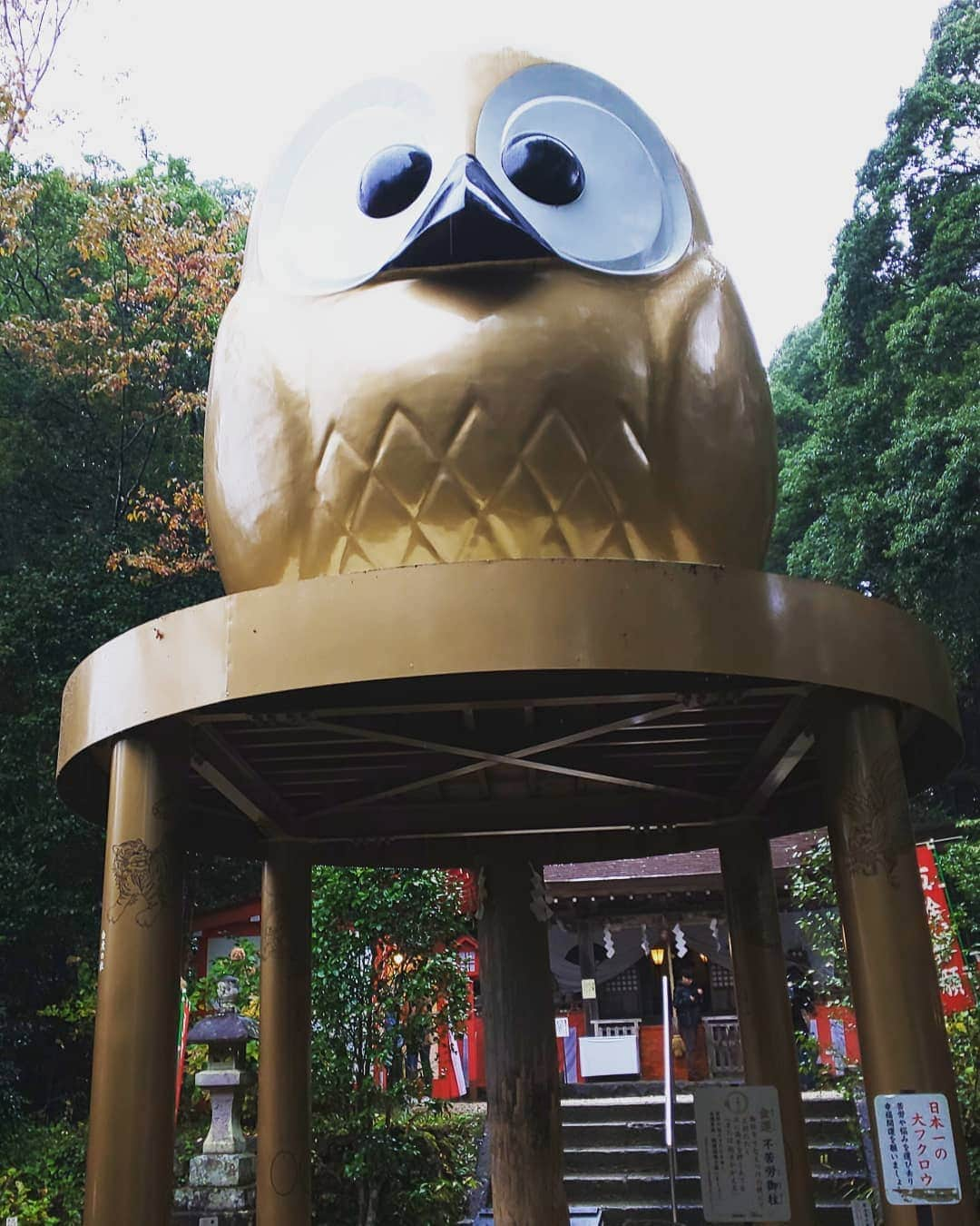 LOVE ME DOさんのインスタグラム写真 - (LOVE ME DOInstagram)「金運アップ神社。当選祈願。フクロウ神社で有名な鷲子山上神社に行きました！雨の日なのでポンチョを来てフクロウをイメージしました！ #フクロウの神社  #フクロウ神社 #鷲子山上神社 #当選祈願 #金運アップ神社」11月8日 17時22分 - lovemedo_fortunteller