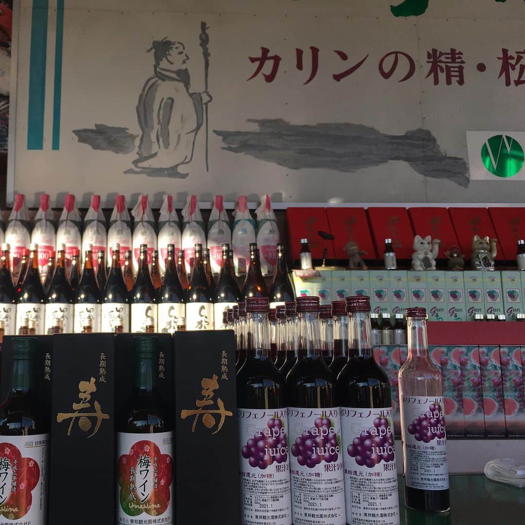 大湯みほさんのインスタグラム写真 - (大湯みほInstagram)「……… 山梨といったら、富士山🏔🌤そして✨地酒ワイン🍷も有名ですよね！！ ・ ぶどうのみならず、🍑桃のワイン・柿のワイン🍊ほんっと色々あって😍もう楽しかったぁ！！梅のワインは、天皇陛下にも献上したことがあるそうです☺️ この時期の柿は、サクッとした食感とあま〜い風味で、もう最高っ！！✨ ・ その土地の美味しいお酒や、食べ物を食べるには、秋はとってもおすすめのシーズン✨ですね(*´◒`*) ・ #山梨 #フルーツ王国 #秋の味覚 #柿 #桃 #ぶどう #地酒 #和酒 #和製ワイン #ワイン #食 #名産品  #特産品 #産直 #発酵 #ぬか漬け #ぬか漬けマイスター #大湯みほ」11月8日 17時29分 - nukazukemiho0320