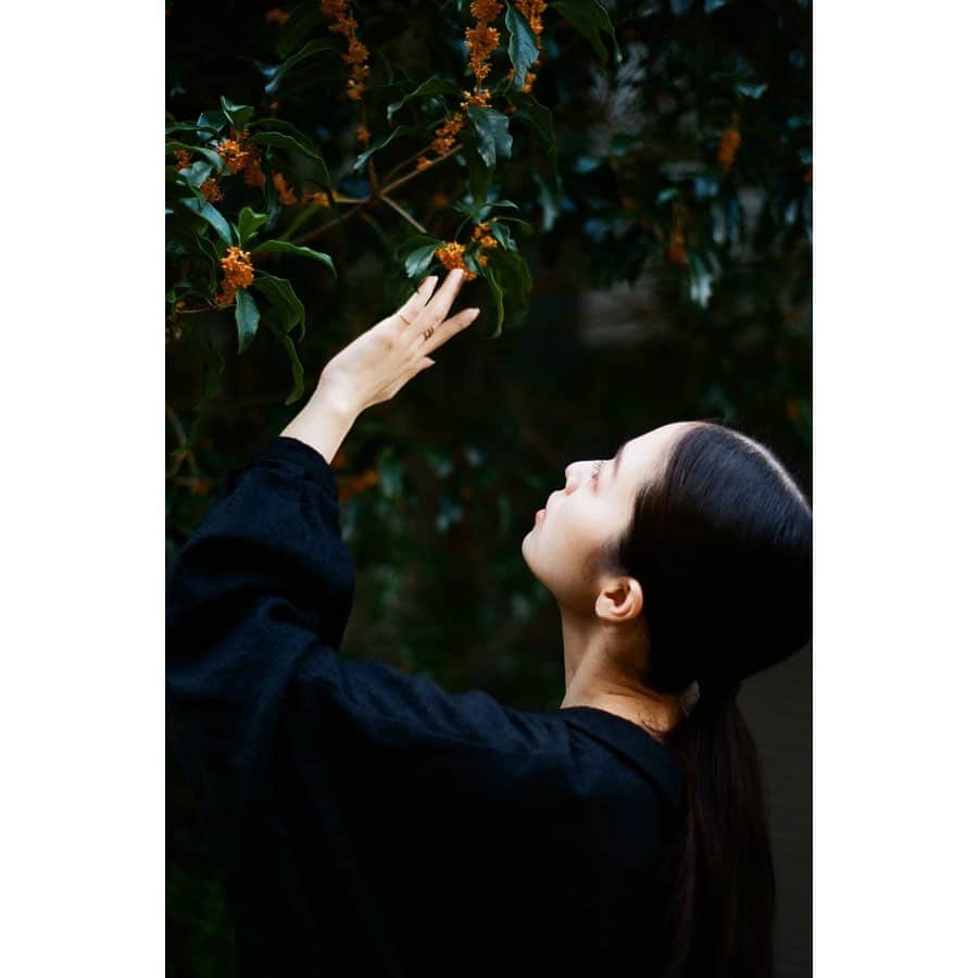 久保陽香さんのインスタグラム写真 - (久保陽香Instagram)「. このあいだ忠地さん(@naotadachi )が ふわっと撮って下さった写真。嬉しい。  金木犀がとても綺麗でした。 懐かしい香り。 #金木犀」11月8日 17時30分 - kubo_haru