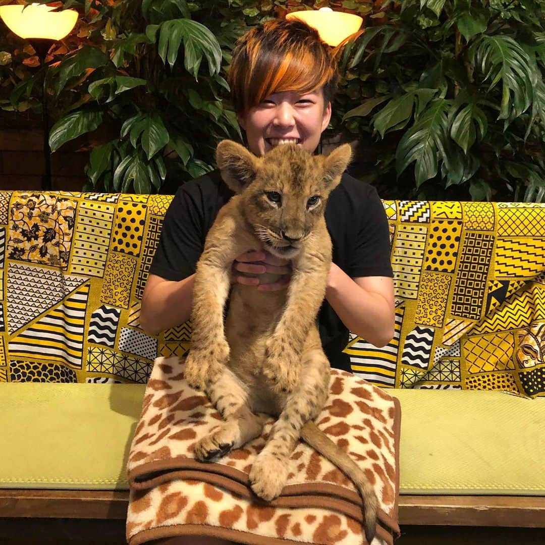 小野崎玲皇のインスタグラム：「ライオンの赤ちゃん🦁🍼 そーいえば夏に念願の！！！！ ライオンの赤ちゃん抱っこして写真撮ってきました📸 ご満悦れおたSMILE🦁✌️」