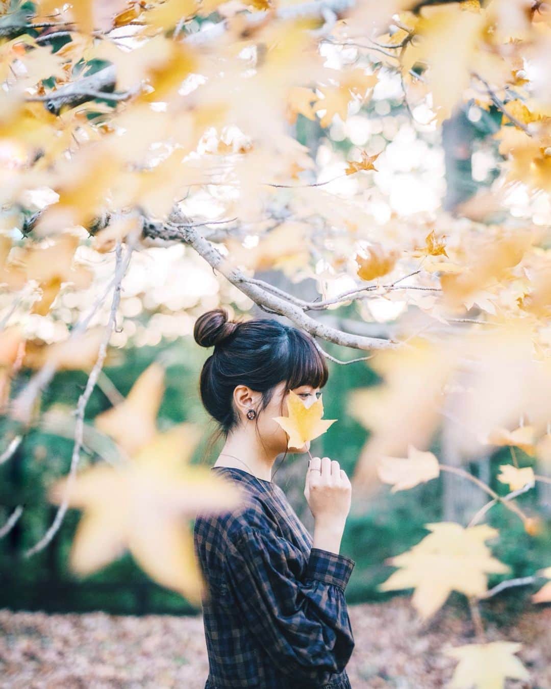 のインスタグラム：「﻿ ﻿ Fallen leaves 🍁﻿ ﻿ ﻿ ﻿ 秋色を探す日々」
