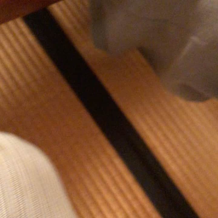 山口祥行のインスタグラム：「組長‼️美味ちー！可愛いー #藤原組長」