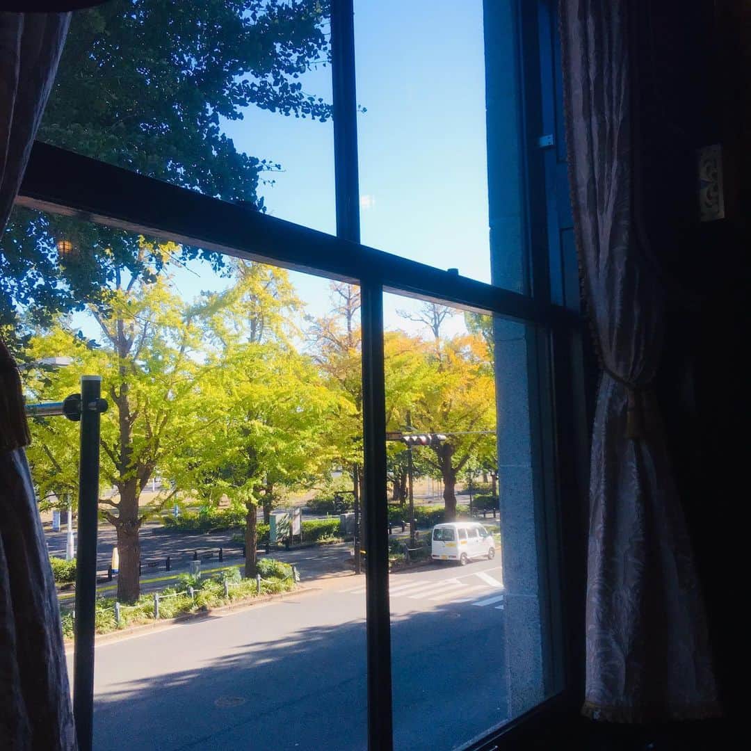 【公式】ホテルニューグランドさんのインスタグラム写真 - (【公式】ホテルニューグランドInstagram)「例年見頃は11月下旬～12月上旬！いつも目にする風景がガラッと変わる日が今から楽しみです。  #ホテルニューグランド #横浜 #クラシックホテル #窓 #風景 #紅葉 #秋 #もみじ #秋の風物詩 #フェニックスルーム #紅葉予報 #山下公園 #銀杏 #2019秋 #紅葉狩り #イチョウ並木 #秋景色 #ドライブ #散策 #横浜カフェ #秋色 #青空 #スマホ写真部 #日本の風景 #キリトリセカイ #お写んぽ #大人旅 #hotelnewgrand #yokohama #autumn」11月8日 18時48分 - hotelnewgrand