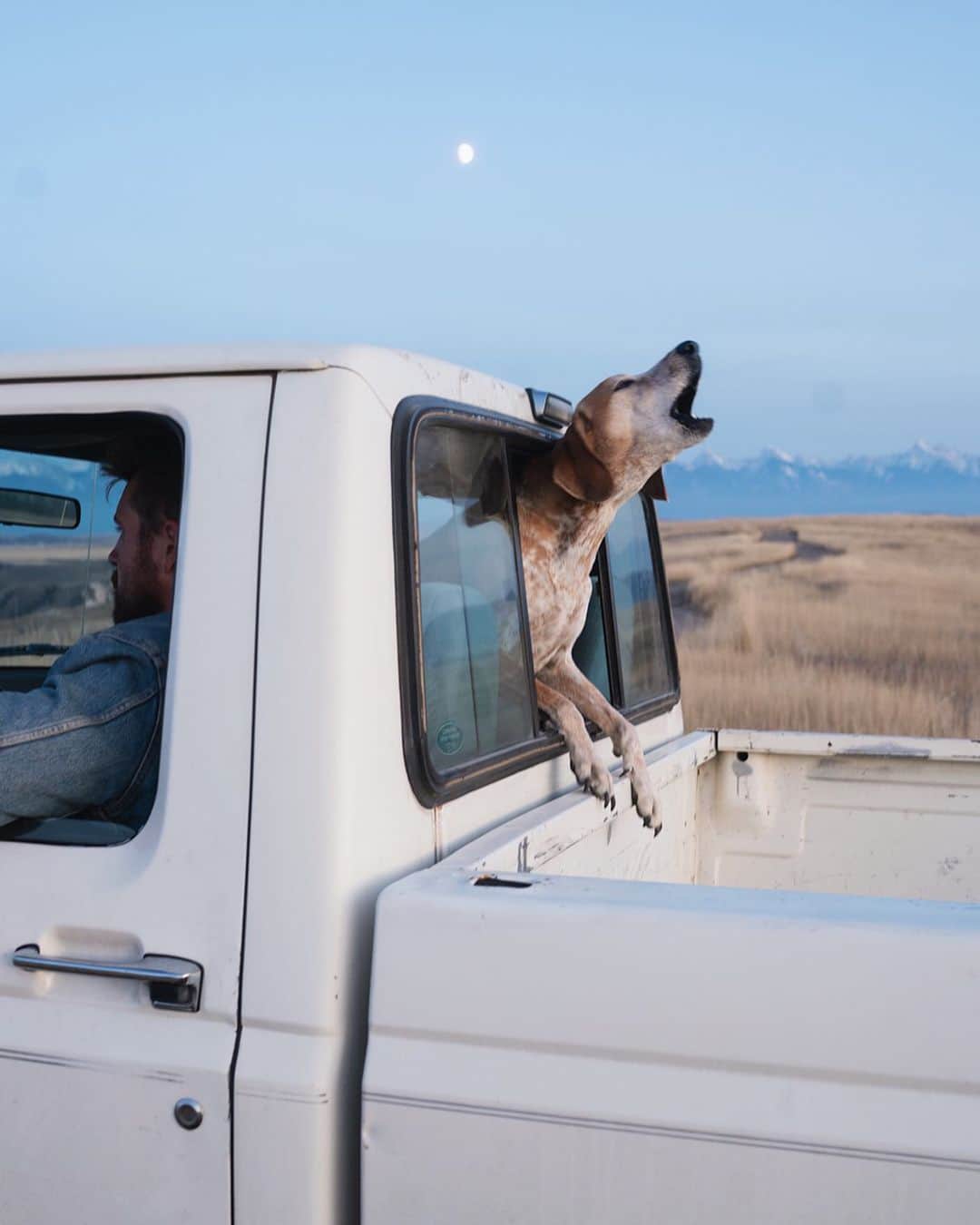 マディのインスタグラム：「Chatting with the locals ✨ if home made me anything its loving a dirt road. ⁣ ⁣ I’ve hung my hat a lot of places in the states, LA to Savannah, and for my dollar there ain’t nothing better than wide open country. A man could live a good life in a place like this.」