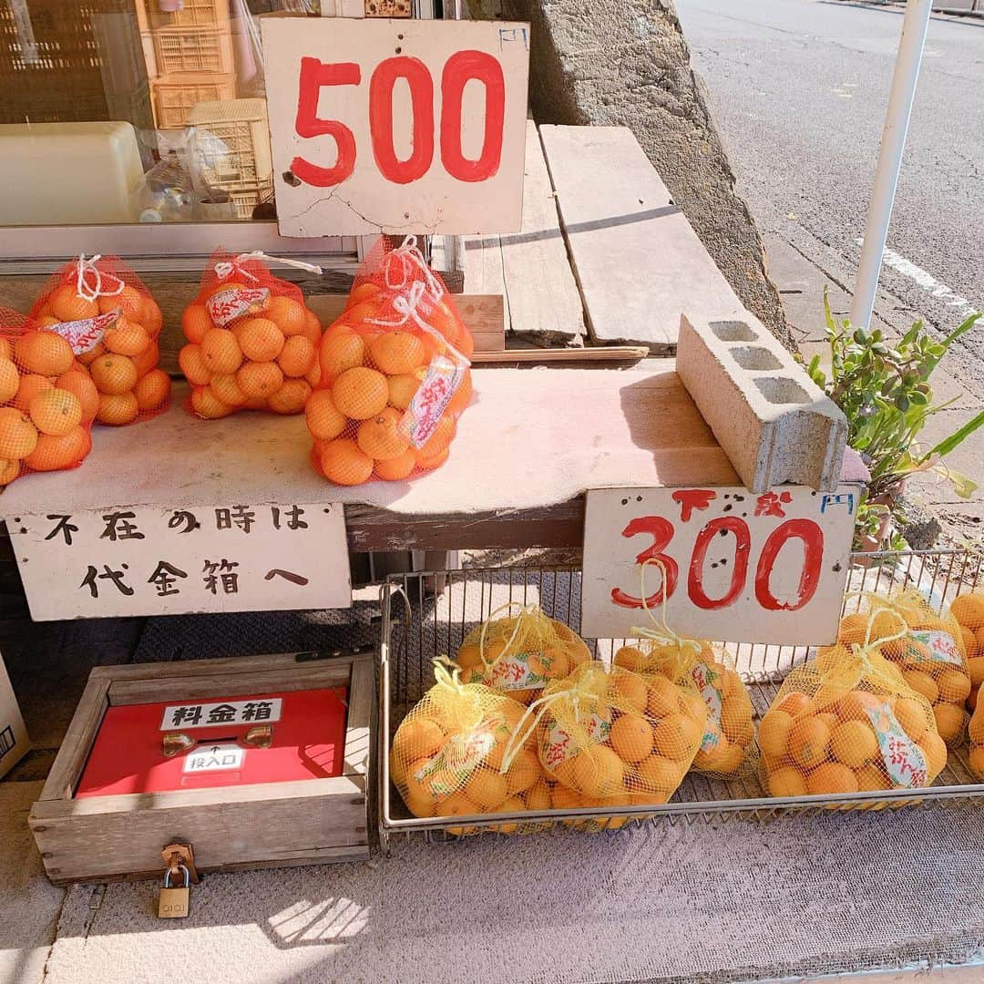 トリンドル玲奈さんのインスタグラム写真 - (トリンドル玲奈Instagram)「みかん🍊  お店のおじちゃまが、 人間て不思議なもので、同じみかんなのに、何故か上のオレンジの方が売れるんだよなぁ〜。 と言っていました。  わ、分かるような気がする、、! 色が濃く見えて甘そうな感じがして、私もオレンジ色のを購入しました🧡🤭」11月8日 19時02分 - toritori0123