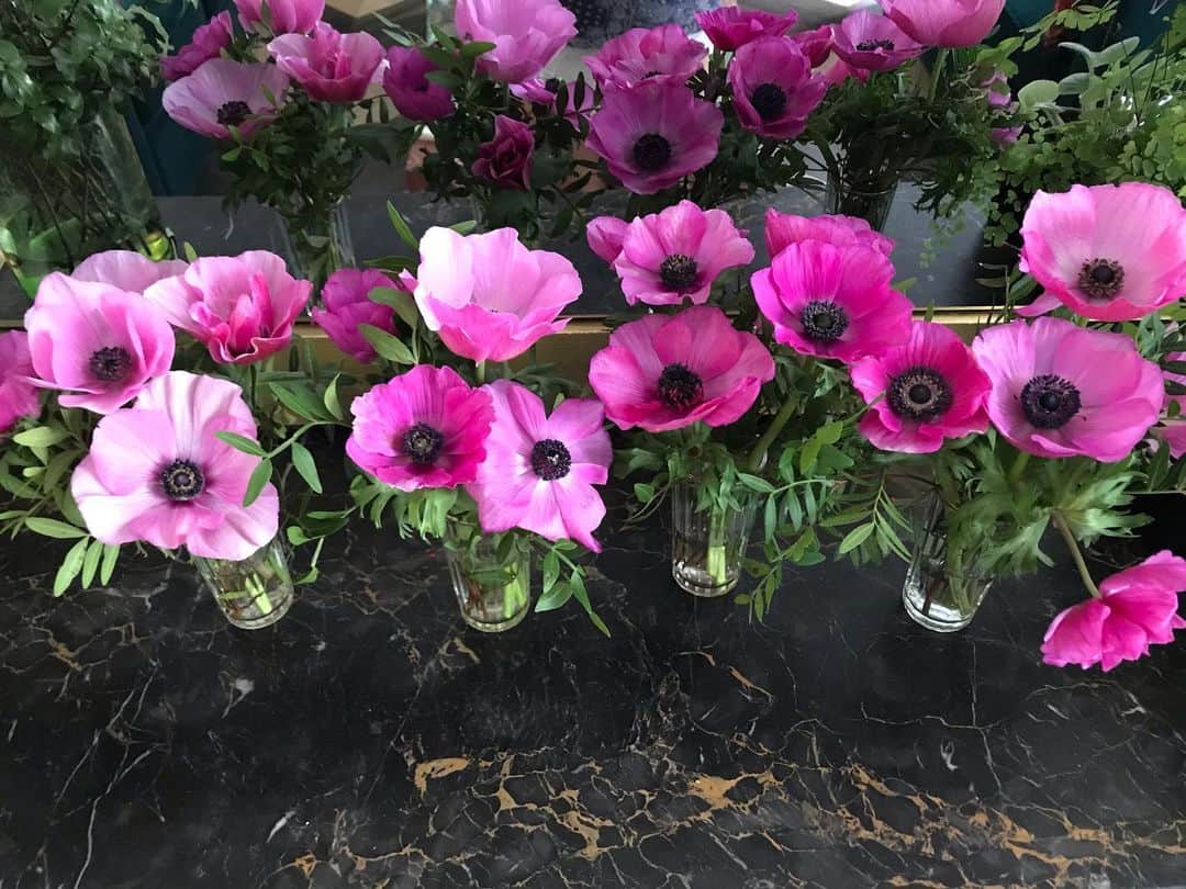 アレクシマビーユのインスタグラム：「Home Garden #anemones @alexismabille #marble #portor #anemones #fushia #purple #bloom #fleurs #black #velvet #reflection#miror」