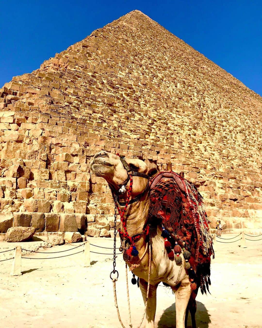 橋本マナミさんのインスタグラム写真 - (橋本マナミInstagram)「#ルクソール神殿　#エジプトの夜景🇪🇬 #ピラミッド　🥰💕」11月8日 19時29分 - manami84808