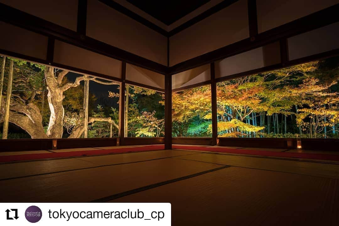 City of Kyoto Official Accountさんのインスタグラム写真 - (City of Kyoto Official AccountInstagram)「#Repost @tokyocameraclub_cp • • • • • • 「私だけの特別な京都」フォトコンテスト開催中！ . 詳細は @tokyocameraclub_cp のプロフィールにあるURLから （応募締切：2019年12月17日(火) 23:59まで） ※募集期間外の投稿は対象外となりますので、ご注意ください。 . 京都市観光協会と東京カメラ部のタイアップ企画として、「私だけの特別な京都」フォトコンテストを開催中です。 . 応募は簡単！京都市観光協会公式Instagramアカウント（ @visit_kyoto ）と「東京カメラ部」キャンペーン用Instagram（ @tokyocameraclub_cp ）をフォローし、指定のハッシュタグ「 #私だけの京都 」と「 #撮影場所名 (任意) 」をつけて投稿するだけで応募完了です。 . 受賞者には京都のホテルや宿泊施設の宿泊券をはじめ、素敵な商品をプレゼント！撮影機材は問いませんので、皆さまの素敵な写真を是非ご応募ください。<PR> . 詳細は @tokyocameraclub_cp のプロフィールにあるURLから ※作品投稿時、または投稿から24時間以内、かつ応募期間中に指定のハッシュタグを付けてください。 Instagram社のAPI変更によって、投稿後24時間を過ぎた過去の投稿に指定のハッシュタグを付けていただいても、Instagram API経由で作品のダウンロードができないため審査対象とできなくなりました。作品をシステムでダウンロードできたもののみが審査対象となります。（ダウンロードできたかどうかのお問い合わせはご容赦ください） . ※作品：@wasabitool」11月8日 19時33分 - visit_kyoto