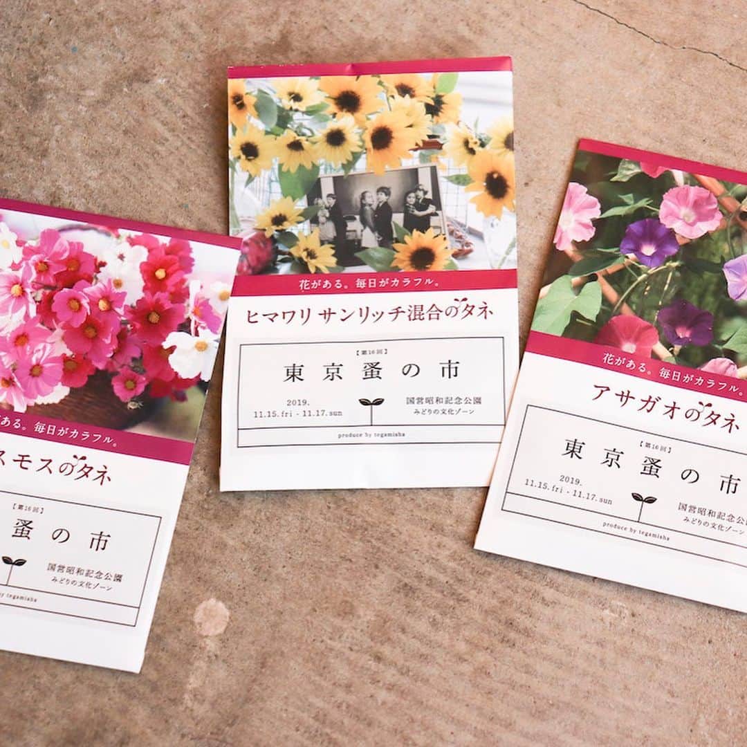 手紙社さんのインスタグラム写真 - (手紙社Instagram)「【「第16回東京蚤の市」東京蚤の市に来て、種から花を咲かせてみよう】 自然いっぱいの昭和記念公園で開催する東京蚤の市。大きくそびえ立つ木々や、鳥たちのさえずりが間近で感じられる会場では、もっと自然と触れ合えるようにと願いを込め、花の種をご用意しました。種は3日間を通して先着2000名の方にプレゼント。花の種類はコスモス・ヒマワリ・アサガオ・かすみ草の4種類からひとつお渡しします。  古道具のお店でアンティークな器を見つけて鉢植えにしたり、花マルシェでお手入れに最適な道具を揃えたり、この機会に花のある生活を楽しんでみませんか？　蚤の市で楽しかった出来事を思い浮かべながら、鮮やかな花を咲かせてみてくださいね。 . ▶︎前売券発売中！　そのほか詳細はプロフィールのリンクより「 @tokyonominoichi 」へ . ▶︎イベントサポーター募集中！　詳しくはストーリーへ . #tokyonominoichi#東京蚤の市#手紙社#手紙舎#tegamisha#vintage#antique#東京北欧市#東京豆皿市#東京アジアンタウン#東京占い横丁#みどりと体験の広場#豆皿#豆花器#mamezara#立川#昭和記念公園#東京蚤の市まであと7日」11月8日 19時38分 - tegamisha