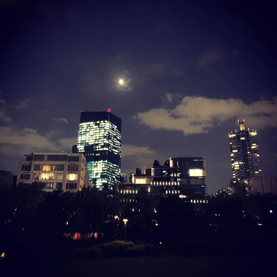 のインスタグラム：「a walk in the park #tokyo 💫 #明るい夜空　#月」