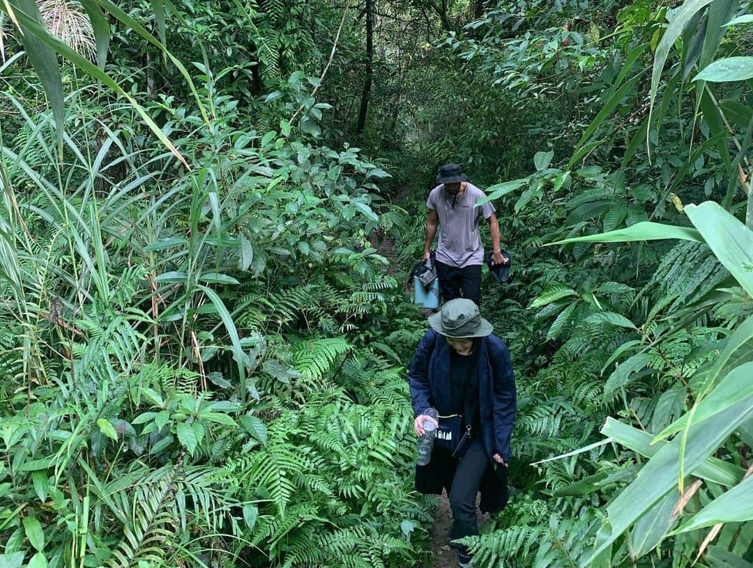 エディ・ポンさんのインスタグラム写真 - (エディ・ポンInstagram)「#Repost @lanpeng ・・・ #EdWLog #BeWonderfool #ExploreDareWonder Secret Place @madbackpacks @ed_wonder coming soon」11月8日 20時51分 - yuyanpeng