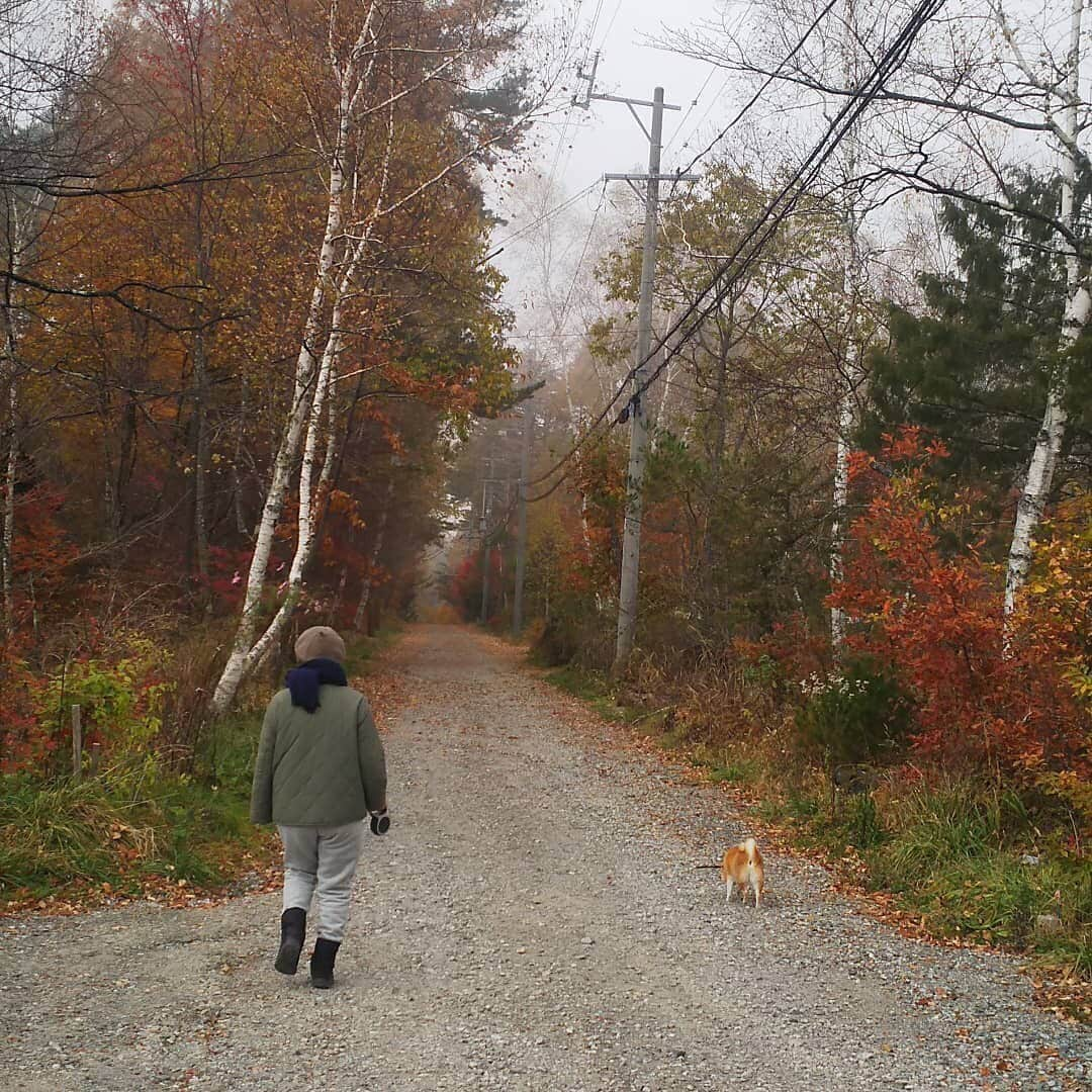 マル子さんのインスタグラム写真 - (マル子Instagram)「昨日から1泊2日で 「犬と編み物🧶の旅」 in 八ヶ岳に妙齢の女子5名で行ってきました。  結果:楽しかった〜  写真は一緒に行ったお友達にもらいました。  @shati3  @truck__market  @chicci_yuzu  @megumi_daifuku  ありがとう🐑🐏 #マル子 #デロリアンズ  #編み物が好き」11月8日 21時10分 - tomikago