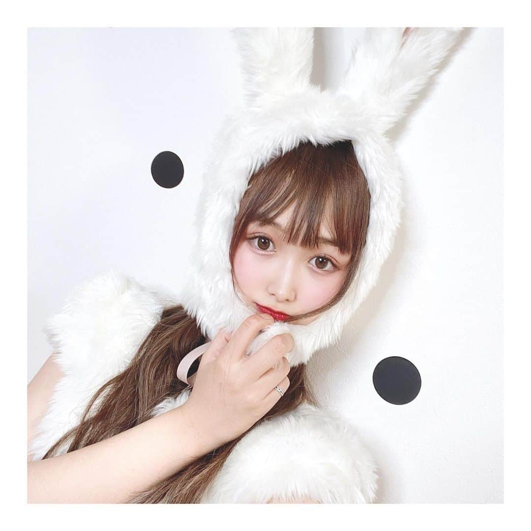 浦西ひかるさんのインスタグラム写真 - (浦西ひかるInstagram)「うさひか🐇 . . .  #今日のYouTubeで #コスプレしたよ #見てね #ドッキリ大成功　 #おたひかチャンネル」11月8日 21時19分 - uranishihikaru