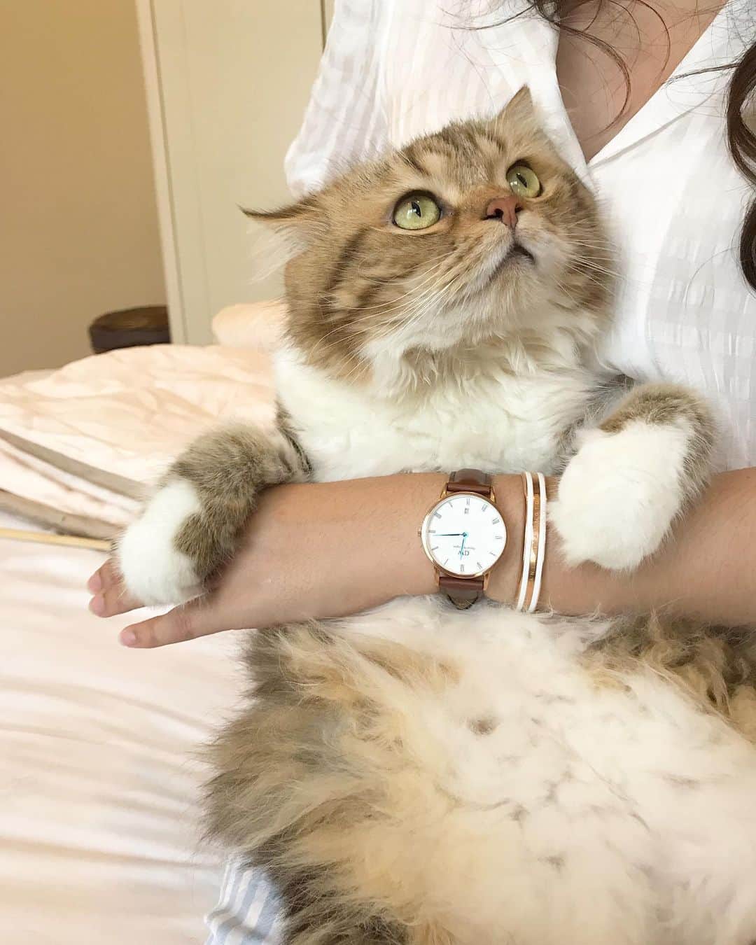 Haruのインスタグラム：「🧡💗 Treat yourself some special gifts this (11.11) Singles’ Day to save up 2,009 THB from @danielwellington.😍 Ranging from their Mesh/Leather/Nato Watches to the Classic Rings, Bracelets and Straps, they are now ALL on 11% OFF (excluding Iconic Link Collection). Remember to check out with my code harudw19 for further 15% off at www.danielwellington.com ! Grab this awesome deal before the offer will end after 11th November! #DanielWellington #DW1111 💗🧡」