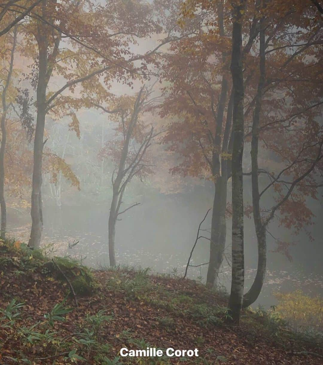 山本奈衣瑠さんのインスタグラム写真 - (山本奈衣瑠Instagram)「どうも、Camille Corot  です🌫」11月9日 1時36分 - nairuuuu