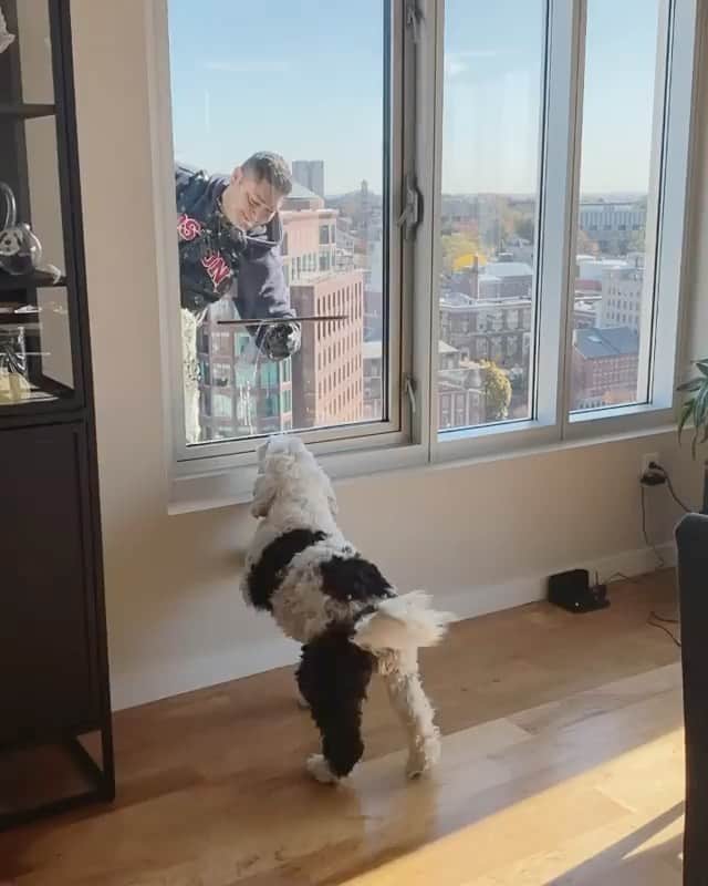 DogsOf Instagramのインスタグラム：「“Hey! You missed a spot” writes @lunatheportie  #dogsofinstagram」