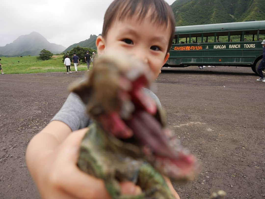 本仮屋リイナさんのインスタグラム写真 - (本仮屋リイナInstagram)「夫が最も楽しみにしていたクアロアランチ⛰️ ジュラシックパークのロケ地にもなった所。 たしかに、恐竜がいても不思議ではないような圧倒的なスケール⛰️⛰️⛰️ 大寝坊で予約したバスに乗れないというハプニングから始まったことも、旅のよいスパイスになりました😌 #目指し担当の夫、楽しみすぎて、眠れず起きられず。 #子供か✋  #ジュラシックパーク #ジュラシックワールド #クアロアランチ #hawaii #子連れハワイ」11月9日 2時42分 - riina_motokariya