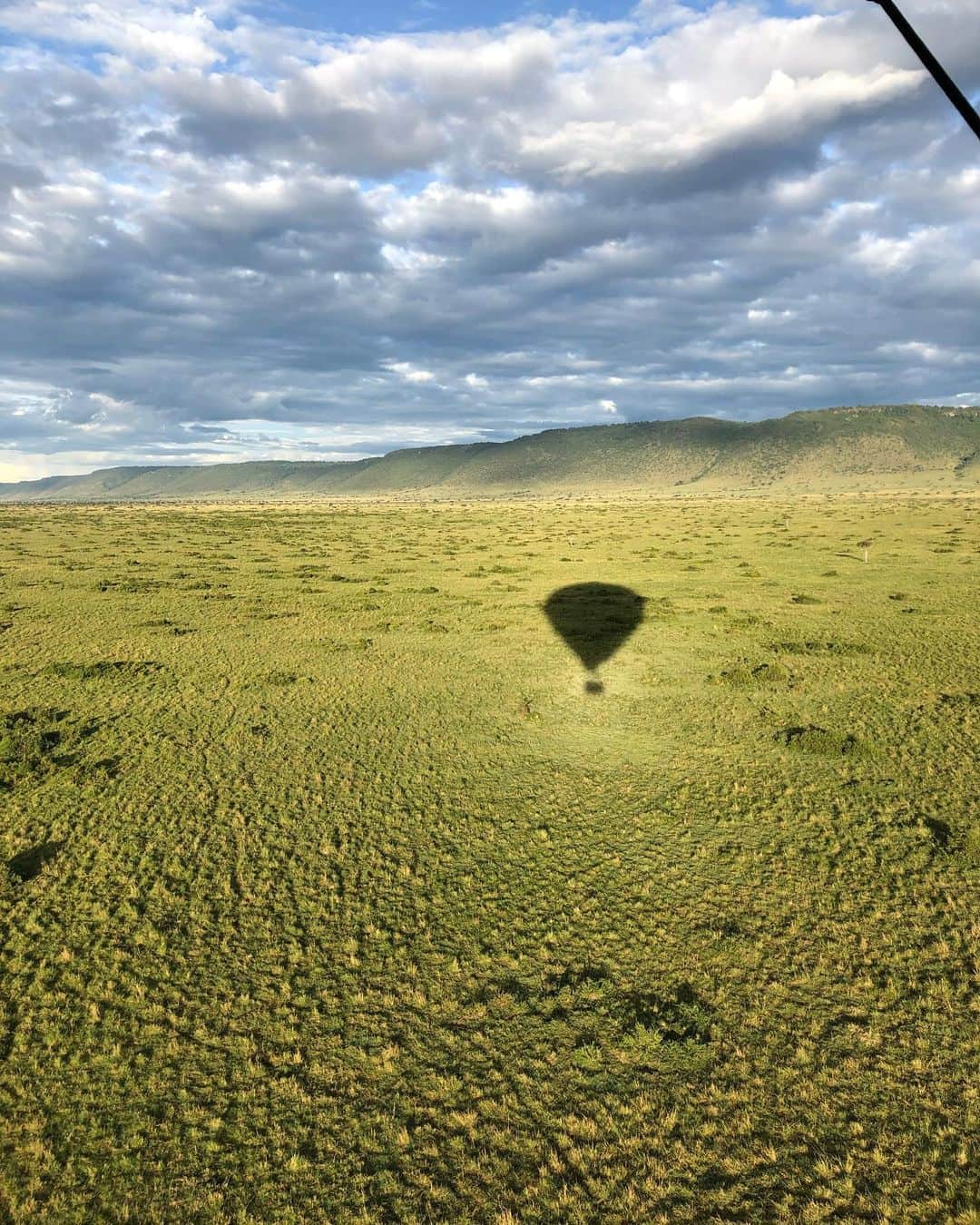 リュカ・プイユさんのインスタグラム写真 - (リュカ・プイユInstagram)「🇰🇪 Kenya 🇰🇪 Maasai Mara National Reserve ☀️ Wildlife 🦁🦒🦓🐵🦏🐆🐗🦅🐯🐊🐘 ❤️ @clemencebdlf ❤️」11月9日 2時42分 - lucaspouille