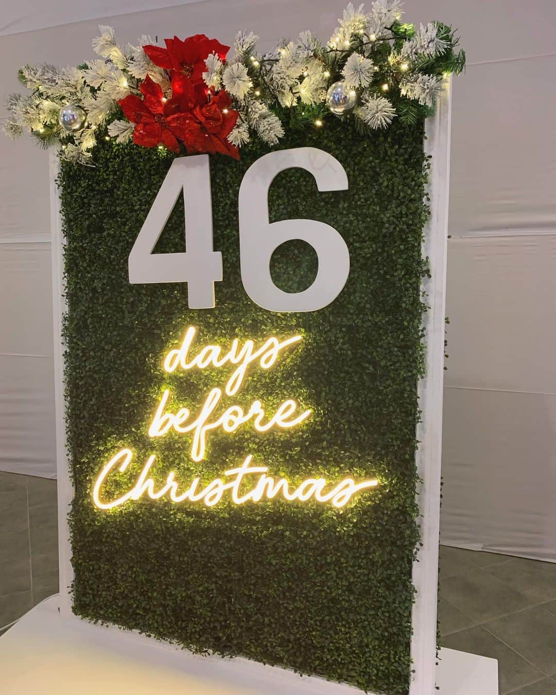 ダラ さんのインスタグラム写真 - (ダラ Instagram)「46 days before christmas🎄 All I want for christmas is.... 🤷🏻‍♀️🤭🤫」11月9日 3時20分 - daraxxi