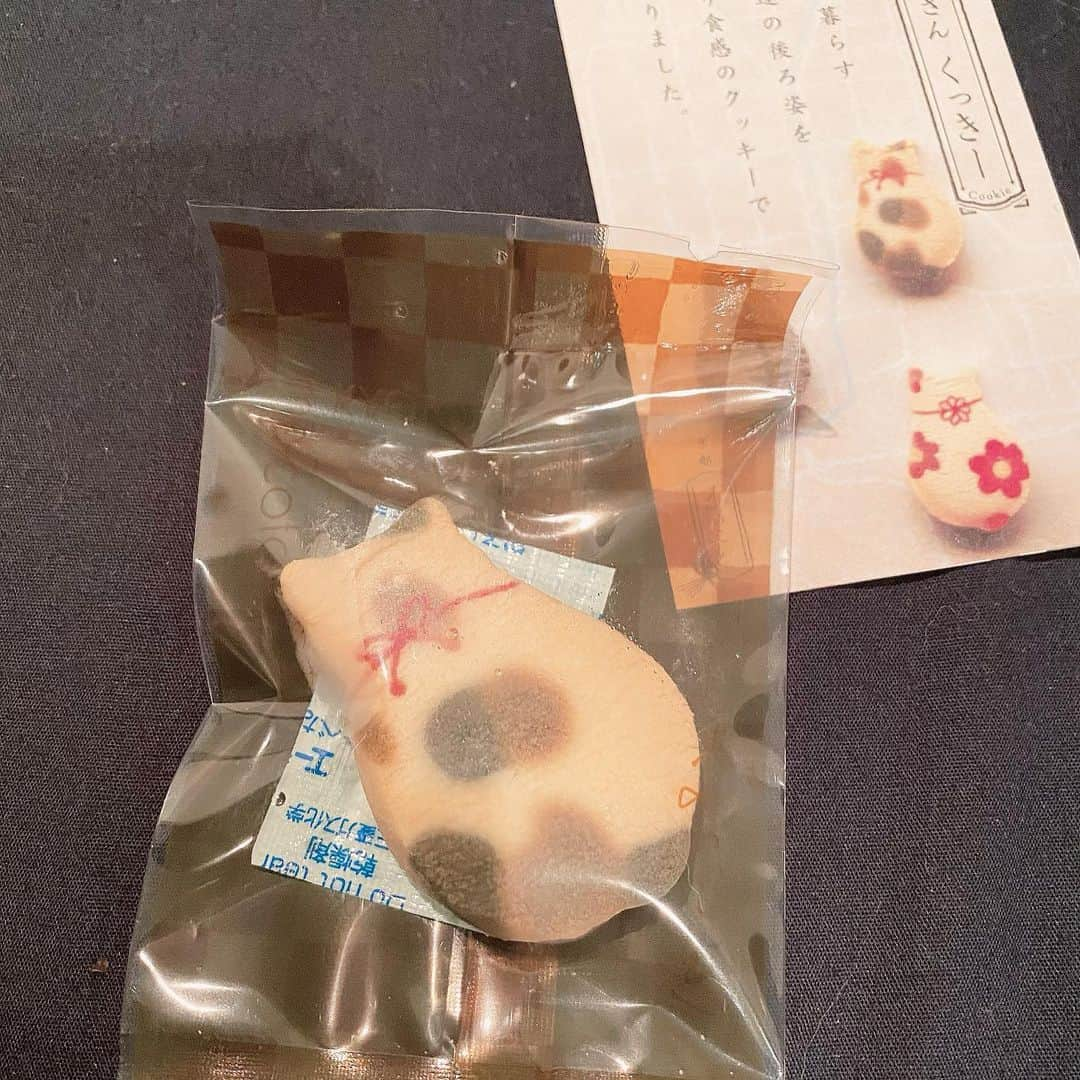 国生さゆりさんのインスタグラム写真 - (国生さゆりInstagram)「頂きました🐈✨✨✨可愛いすぎて✨🐈✨✨食べられない🐈✨✨#猫クッキー #甘いもの #国生さゆり」11月9日 18時00分 - sayurikokusho