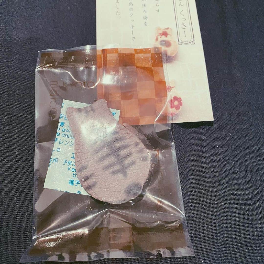 国生さゆりさんのインスタグラム写真 - (国生さゆりInstagram)「頂きました🐈✨✨✨可愛いすぎて✨🐈✨✨食べられない🐈✨✨#猫クッキー #甘いもの #国生さゆり」11月9日 18時00分 - sayurikokusho