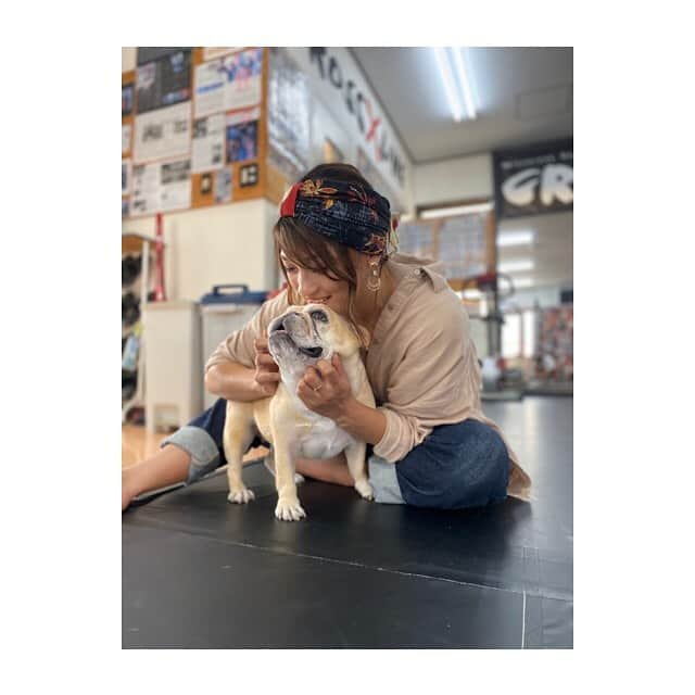 RENA（久保田玲奈）さんのインスタグラム写真 - (RENA（久保田玲奈）Instagram)「‪沖縄に行った際に‬ ‪田嶋はる選手‬ ‪はるさんの愛犬の白玉嬢に‬ ‪会いに😳💕💕‬ ‪【CROOS✖️LINE】ジムに‬ ‪お邪魔させていただきました⭐️‬ ‪. . 念願の白玉嬢に会えてメロメロ。‬ ‪本当にありがとうございました‼️‬ ‪ . . 次回は練習にも‬ ‪参加させてもらいたいと思います✨ . . ‬ #沖縄旅行の思い出 #フレンチブルドッグ」11月9日 18時43分 - sb_rena