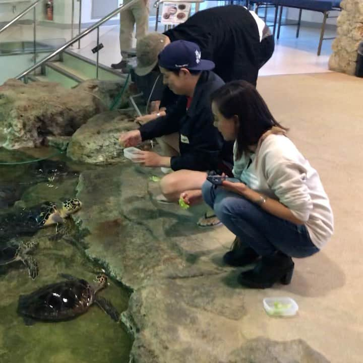 田中律子のインスタグラム