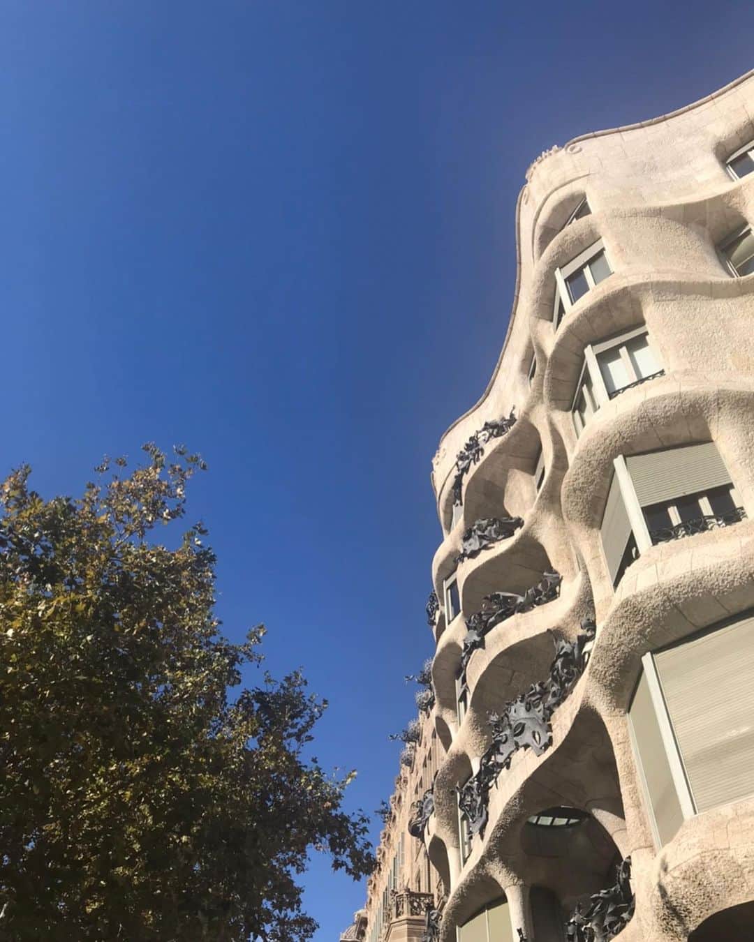 キャシー中島さんのインスタグラム写真 - (キャシー中島Instagram)「* #バルセロナ の旧市街を歩きます。 空は青く陽が当たってるところは暖かいのだけど、石の街らしくキーンと冷えてきました。 #サグラダファミリア が見えてきました。 私は#ガウディ の世界観が大好き💕 残念な事に今回は中に入れず外から見るだけです。 撮影は順調に進んでいます。 * #カサミラ にも来ました。 ここも好きなガウディの作品です。 まずは屋上を見て、階段を降りながら他のとこを見ていきます。 この詳しい様子はぜひ放送を見てね。 詳しくはまたお知らせします。 最後にガウディさんの銅像の前でパチリ！」11月9日 11時21分 - official_kathynakajima