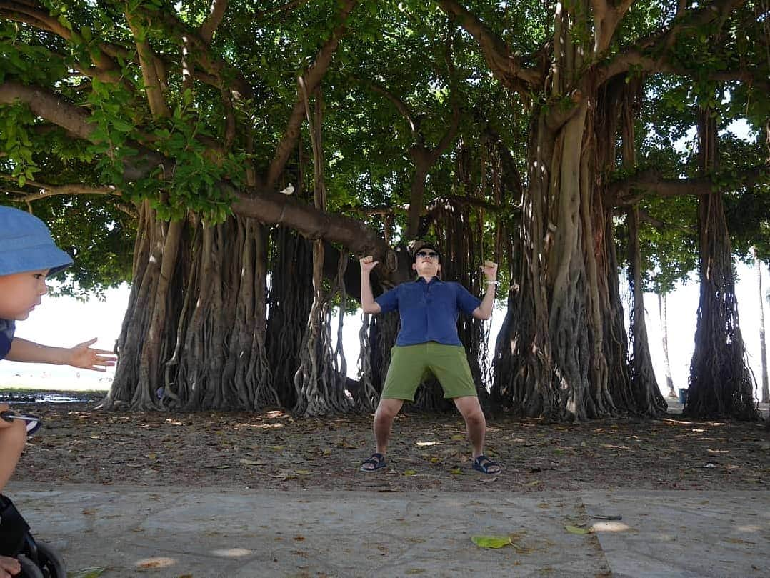 本仮屋リイナさんのインスタグラム写真 - (本仮屋リイナInstagram)「リイナ、野生に帰る🐒ウキー #木登リイナ🌲🌲🌲 #hawaii」11月9日 11時59分 - riina_motokariya