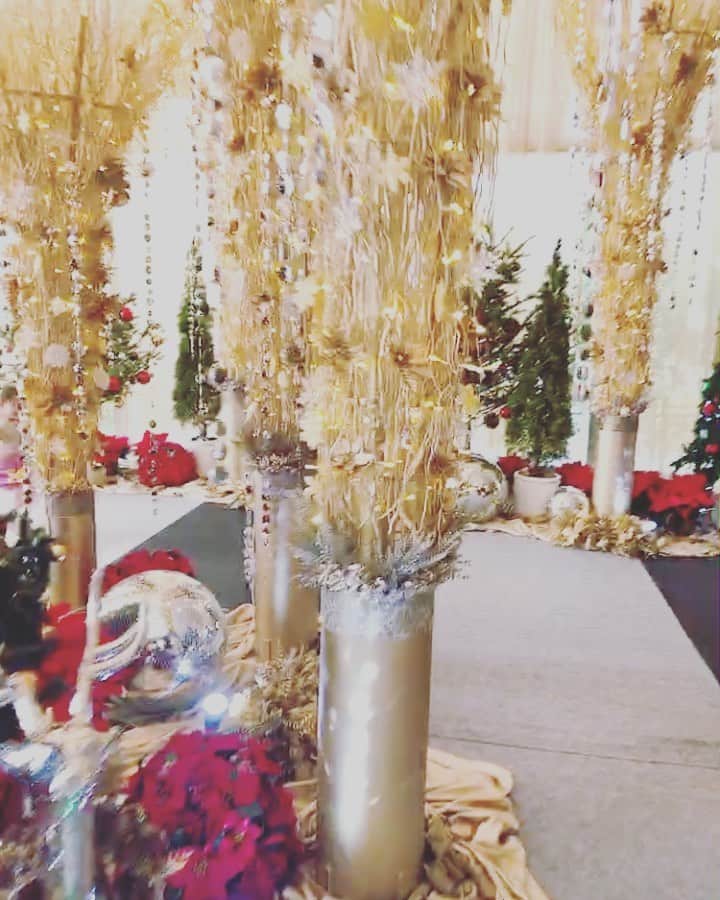 廣瀬規子のインスタグラム：「ハロウィンが終わったと思ったら、 もうクリスマス🎄ですね。 * 我が家もツリーを出さなくちゃ😌 * * #一年本当にあっという間 #キラキラは大人も子供もテンション上がっちゃいますね #クリスマス🎄 #今日は車の中でもクリスマスソングを」